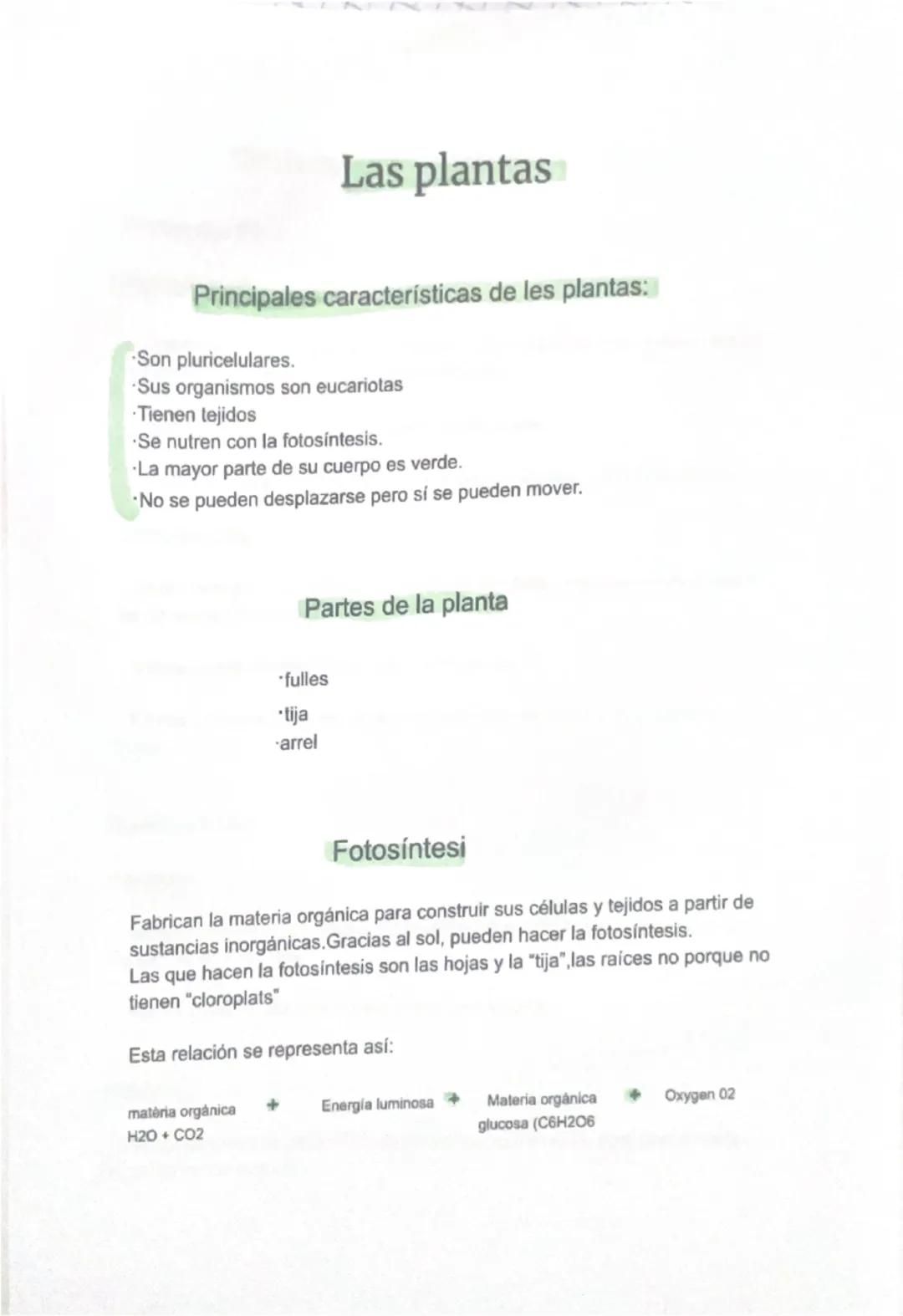 # Las plantas

Principales características de les plantas:

- Son pluricelulares.
- Sus organismos son eucariotas
- Tienen tejidos
- Se nutr
