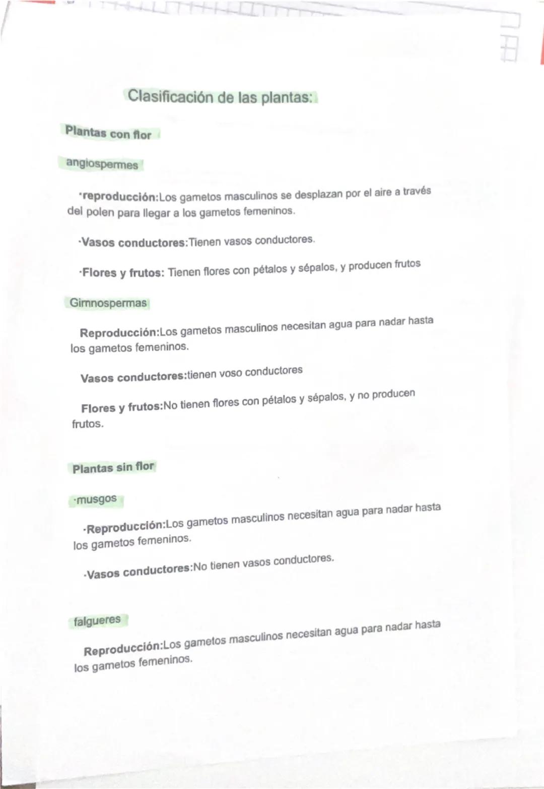 # Las plantas

Principales características de les plantas:

- Son pluricelulares.
- Sus organismos son eucariotas
- Tienen tejidos
- Se nutr