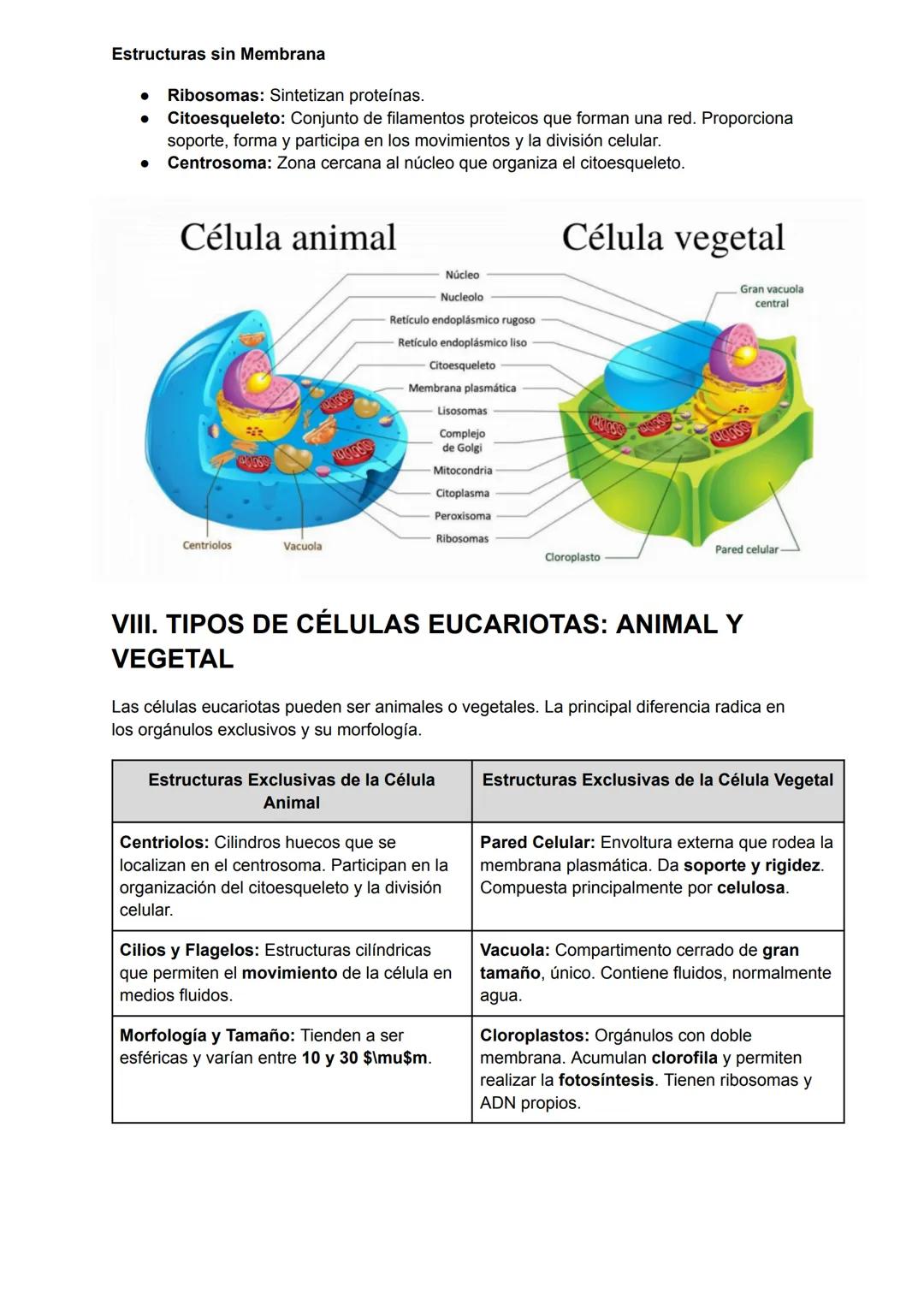 # TEMA 1: LA CÉLULA

I. LA CÉLULA

La célula se define como el organismo o forma de vida más pequeña. Es considerada la
unidad fundamental d