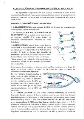 Know Información genética replicación, transcripción y traducción thumbnail