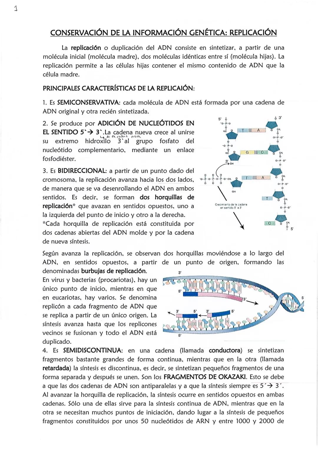 1
CONSERVACIÓN DE LA INFORMACIÓN GENÉTICA: REPLICACIÓN
La replicación o duplicación del ADN consiste en sintetizar, a partir de una
molécula