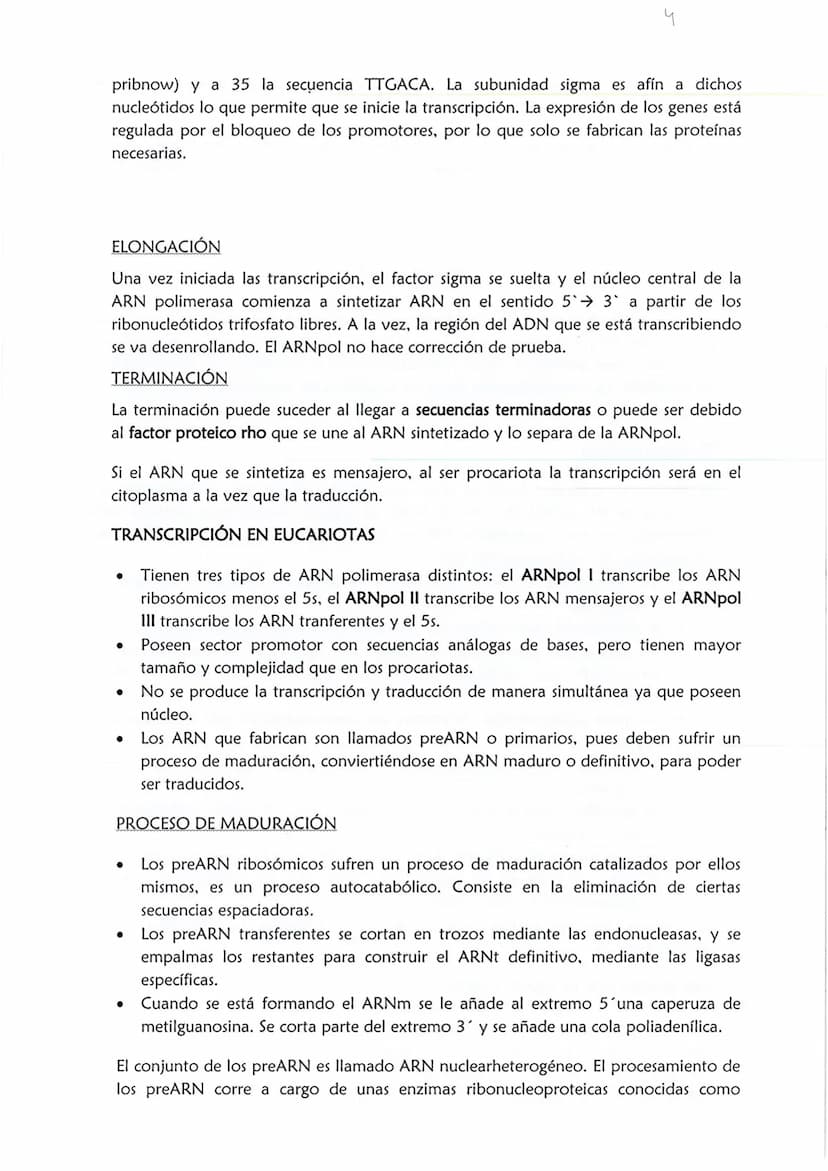 1
CONSERVACIÓN DE LA INFORMACIÓN GENÉTICA: REPLICACIÓN
La replicación o duplicación del ADN consiste en sintetizar, a partir de una
molécula