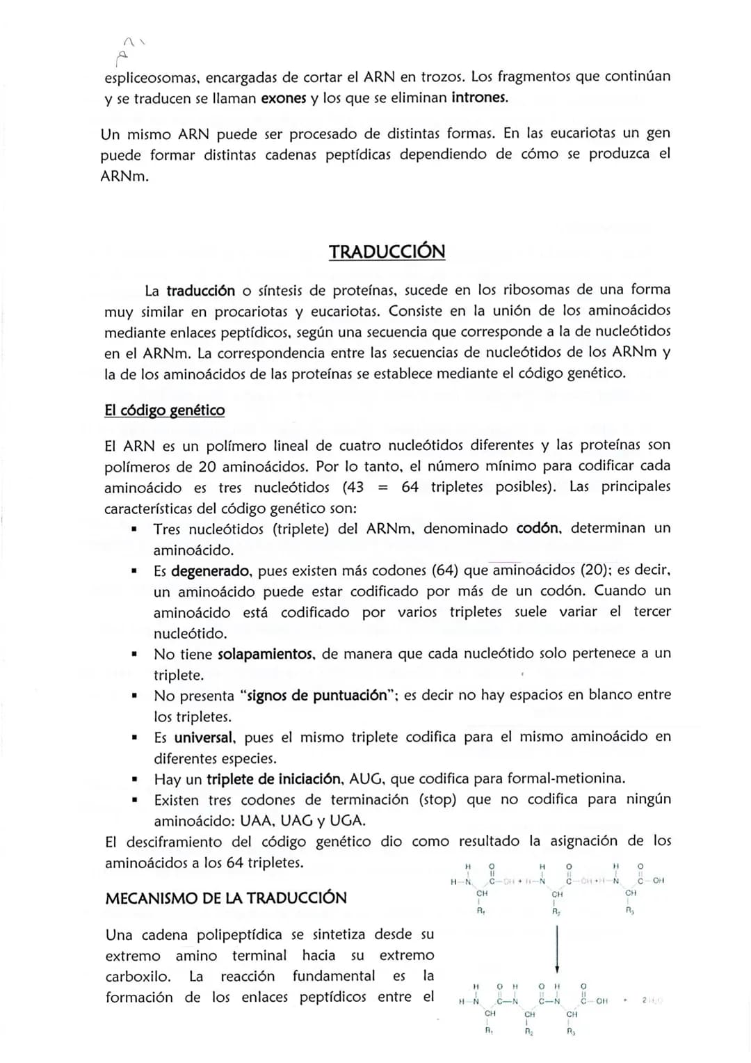 1
CONSERVACIÓN DE LA INFORMACIÓN GENÉTICA: REPLICACIÓN
La replicación o duplicación del ADN consiste en sintetizar, a partir de una
molécula