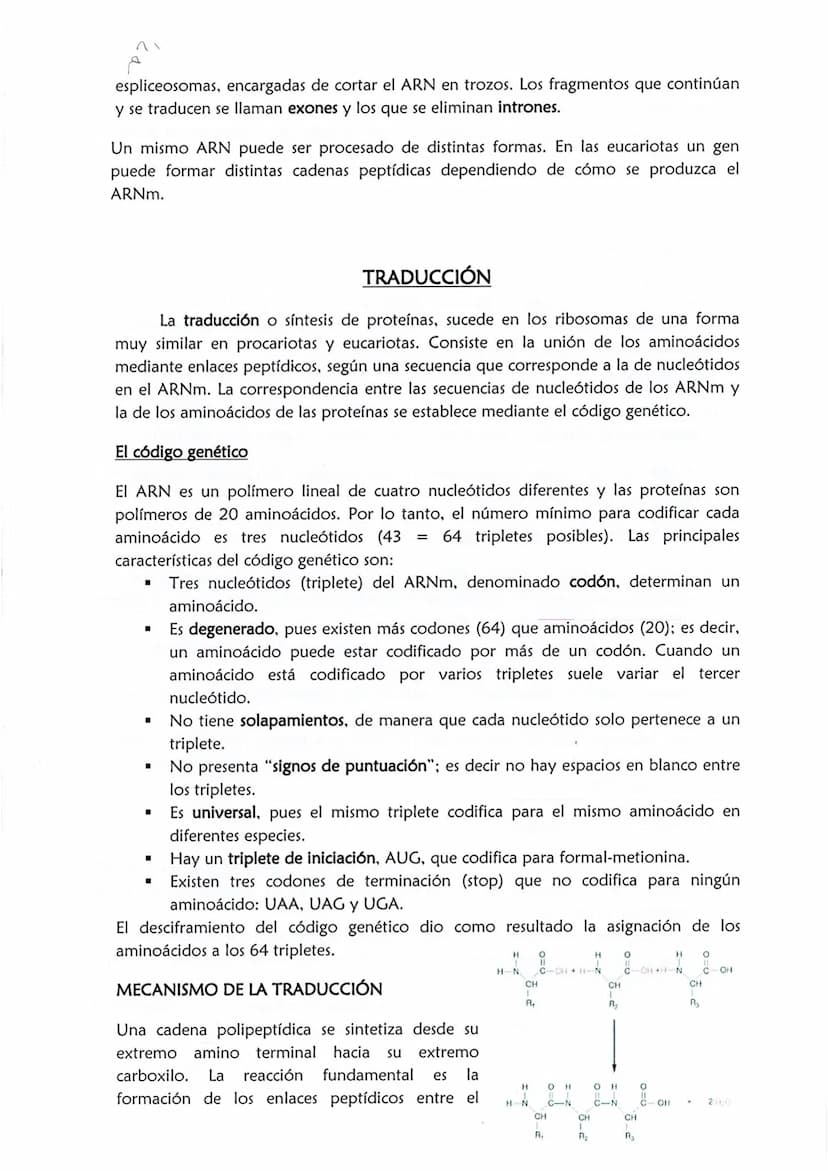 1
CONSERVACIÓN DE LA INFORMACIÓN GENÉTICA: REPLICACIÓN
La replicación o duplicación del ADN consiste en sintetizar, a partir de una
molécula