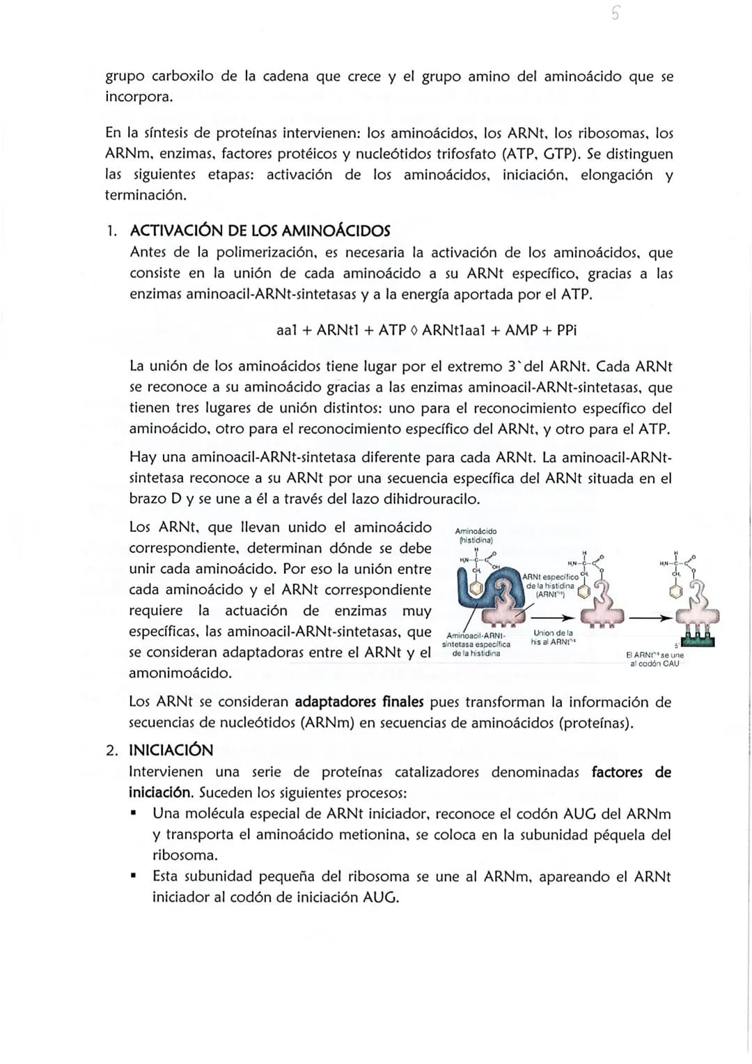 1
CONSERVACIÓN DE LA INFORMACIÓN GENÉTICA: REPLICACIÓN
La replicación o duplicación del ADN consiste en sintetizar, a partir de una
molécula
