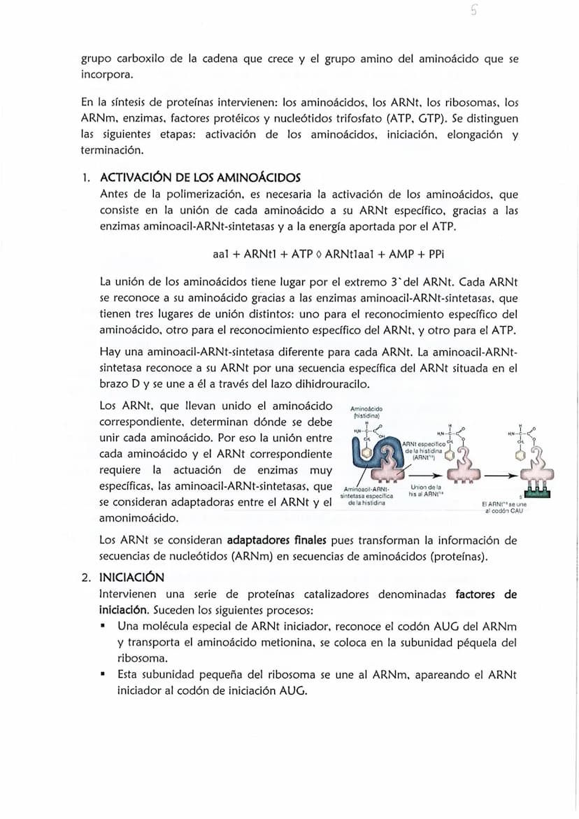 1
CONSERVACIÓN DE LA INFORMACIÓN GENÉTICA: REPLICACIÓN
La replicación o duplicación del ADN consiste en sintetizar, a partir de una
molécula