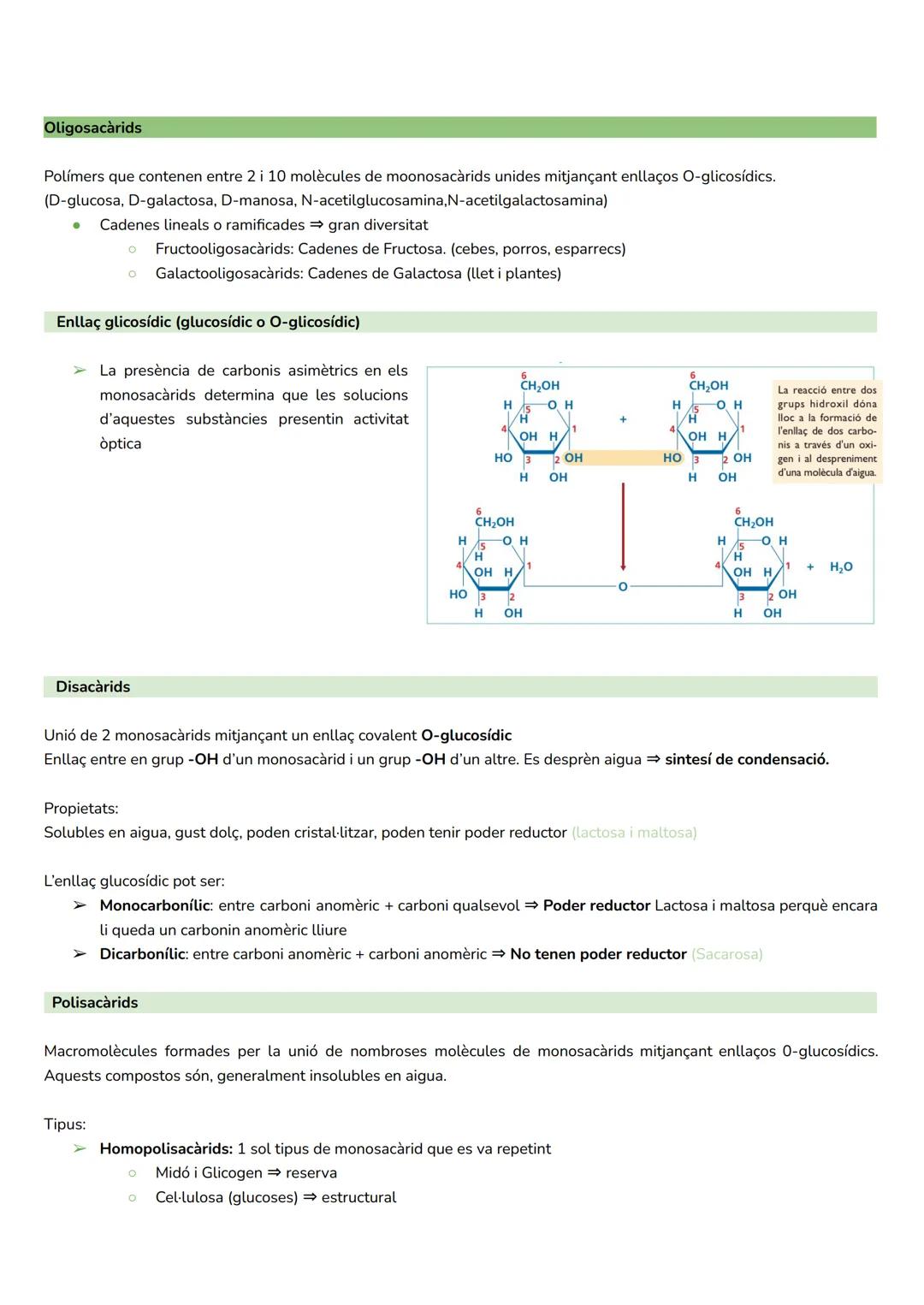 2. GLÚCIDS

La glicobiologia:
- camp de recerca que pretén comprendre els milers de tipus de glúcids fabricats pel cos humà.
- Objectiu prin