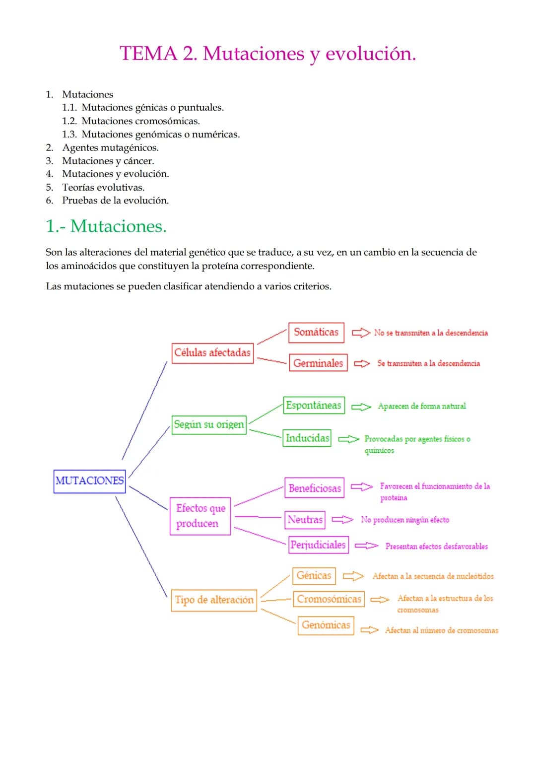 1. Mutaciones
TEMA 2. Mutaciones y evolución.
1.1. Mutaciones génicas o puntuales.
1.2. Mutaciones cromosómicas.
1.3. Mutaciones genómicas o