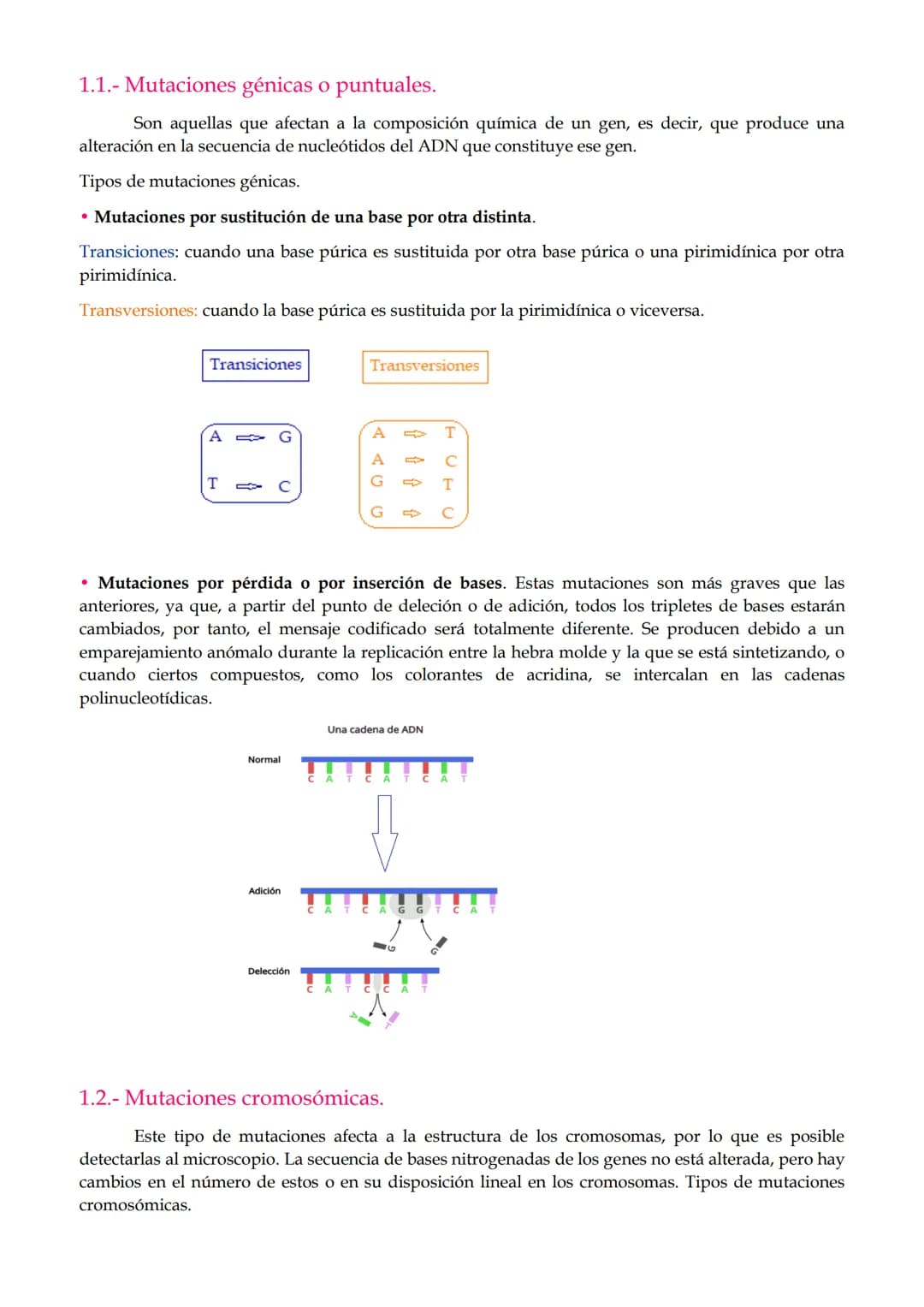 1. Mutaciones
TEMA 2. Mutaciones y evolución.
1.1. Mutaciones génicas o puntuales.
1.2. Mutaciones cromosómicas.
1.3. Mutaciones genómicas o
