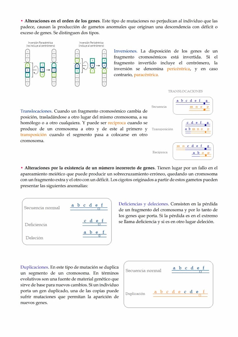 1. Mutaciones
TEMA 2. Mutaciones y evolución.
1.1. Mutaciones génicas o puntuales.
1.2. Mutaciones cromosómicas.
1.3. Mutaciones genómicas o