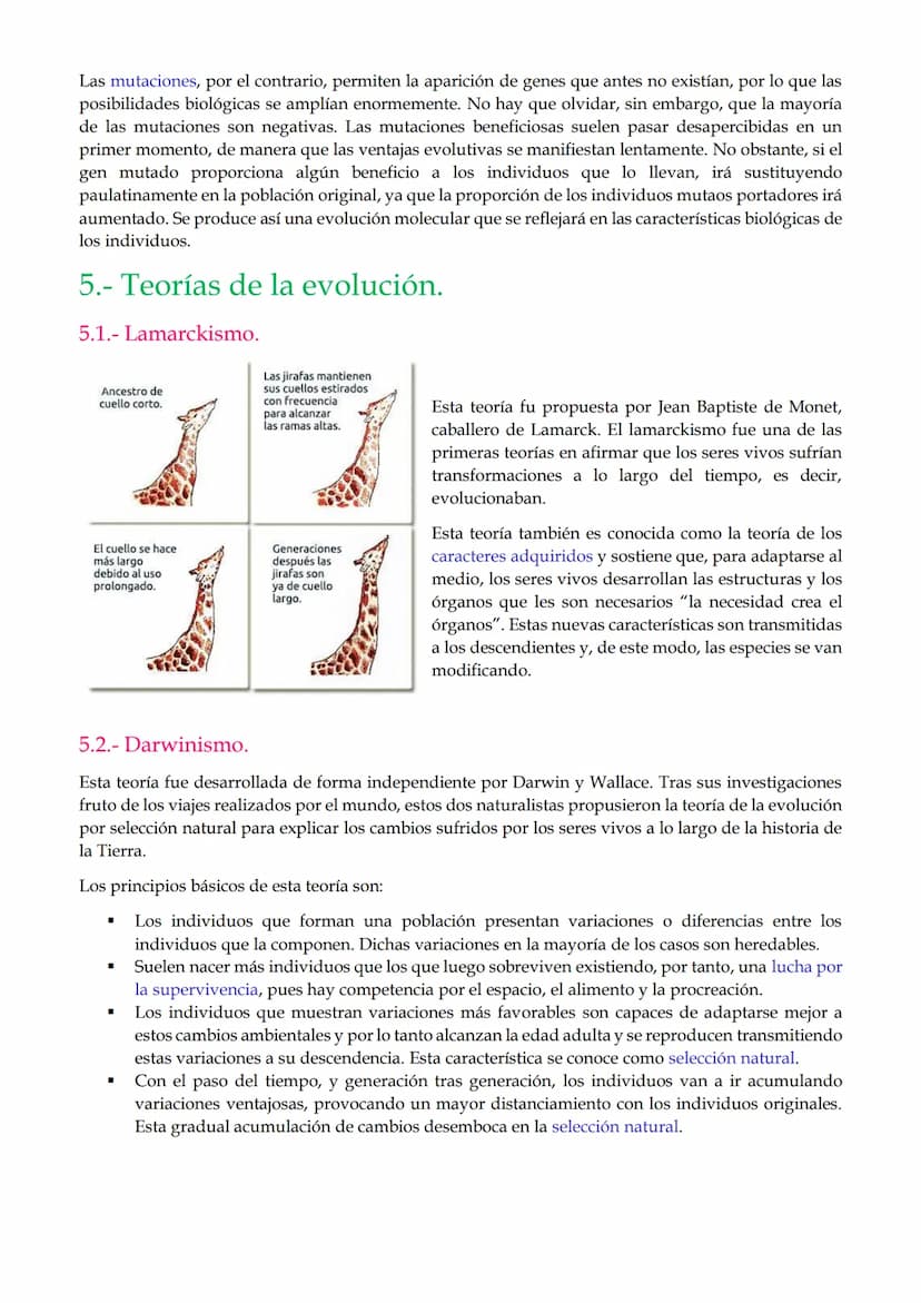 1. Mutaciones
TEMA 2. Mutaciones y evolución.
1.1. Mutaciones génicas o puntuales.
1.2. Mutaciones cromosómicas.
1.3. Mutaciones genómicas o