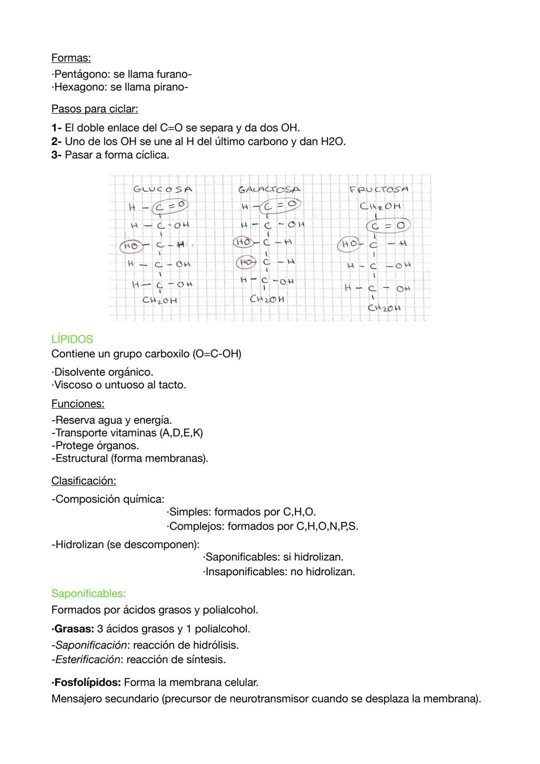 EXAMEN BIOLOGÍA 7

SERES VIVOS
-Sistema abierto y aislado del medio ambiente que realiza funciones vitales.
Sistema: partes interrelacionada