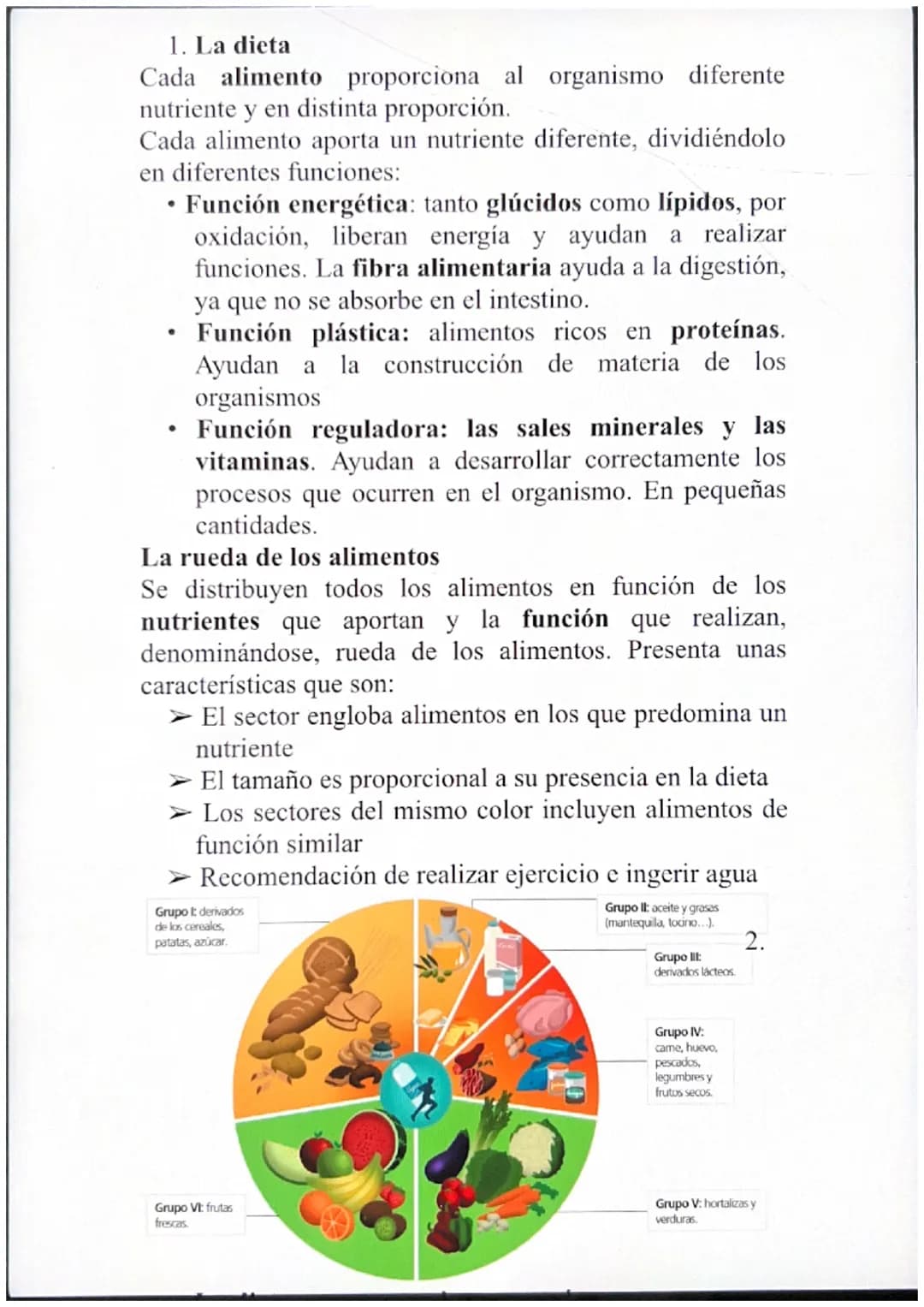 1. La dieta
Cada alimento proporciona al organismo diferente
nutriente y en distinta proporción.
Cada alimento aporta un nutriente diferente