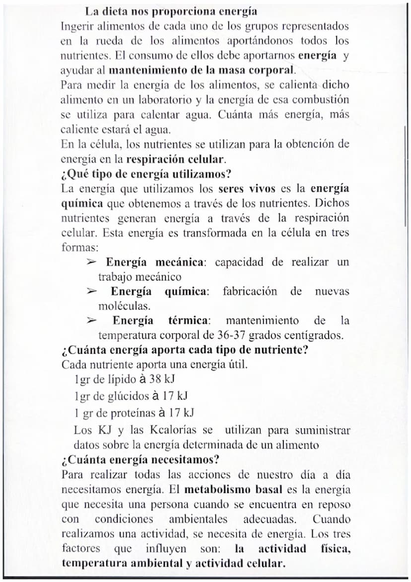 1. La dieta
Cada alimento proporciona al organismo diferente
nutriente y en distinta proporción.
Cada alimento aporta un nutriente diferente