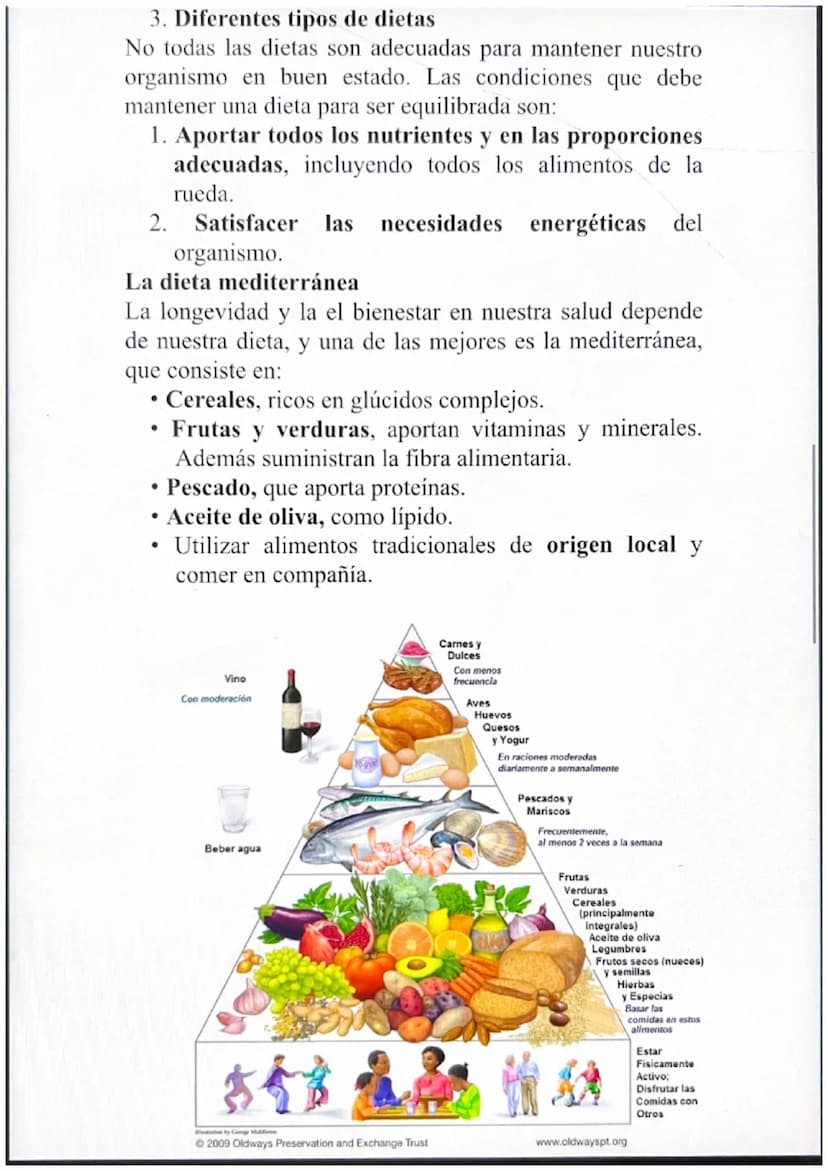 1. La dieta
Cada alimento proporciona al organismo diferente
nutriente y en distinta proporción.
Cada alimento aporta un nutriente diferente