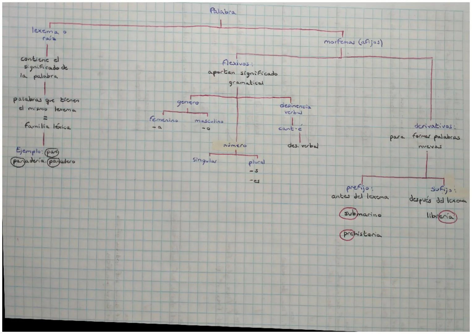 lexema o
raiz

Palabra

morfemas (afijas)

contiene el
significado de
la palabra

flexivas!
aportan significado
gramatical

palabras que tie