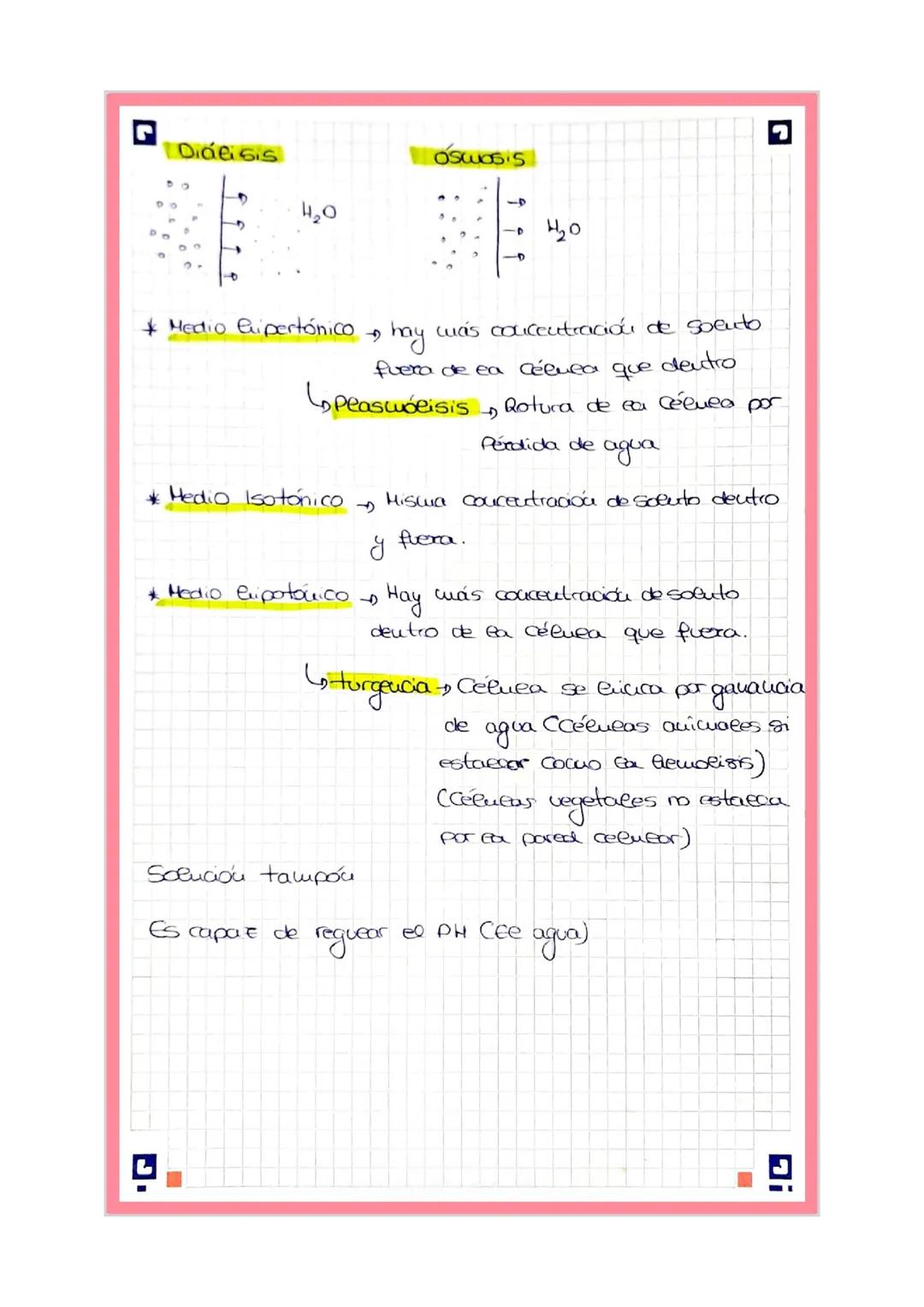 0 Biologia
tema !
Eueaces quicuicos
←
-
4
CH_OUP,S
b
voeu
99%. Constituyen seres vivos
por eueaces
fuereos iutermofecueares
6 vaiones
62
413