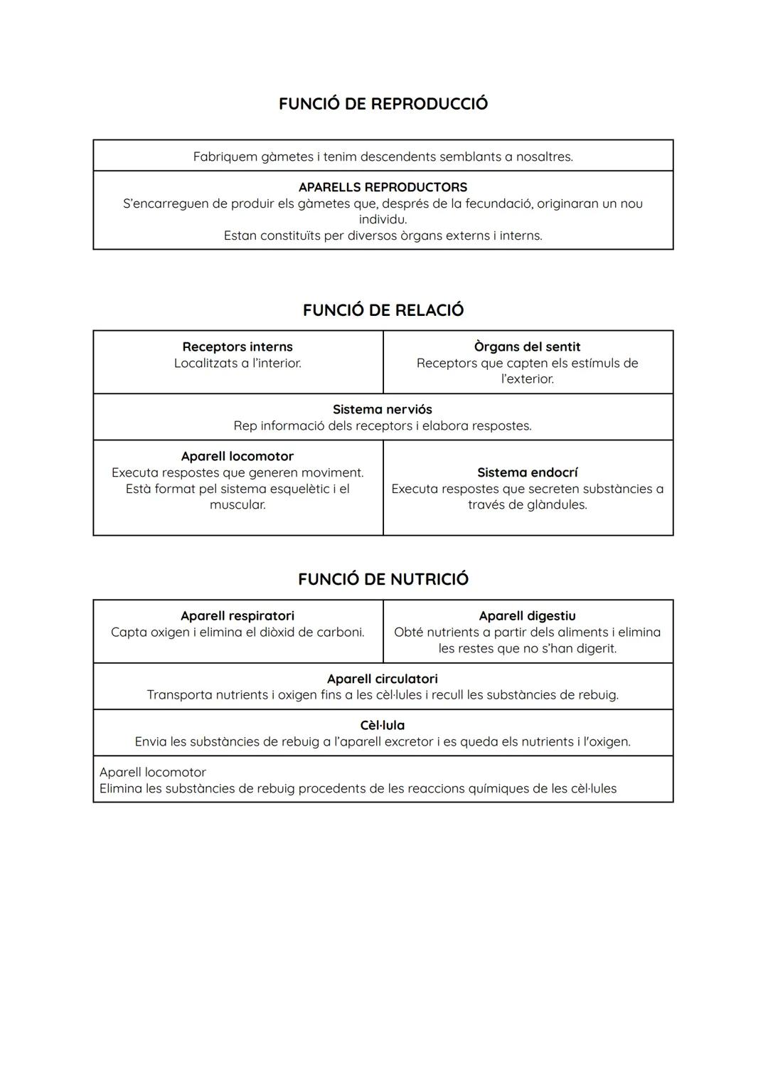 # NIVELLS D'ORGANITZACIÓ

| NIVELL   | TIPUS         | FORMATS PER...                                                                       