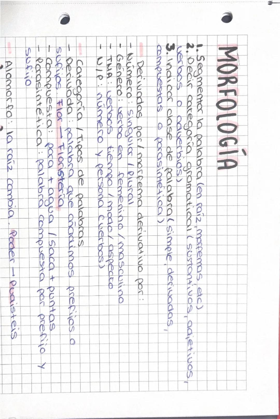 # MORFOLOGIA

1. Segmentor la palabra (en raiz, morfemos, etc)
2. Decir categoría gramatical (sustantivos, adjetivos,
verbos o caverbios)
3.
