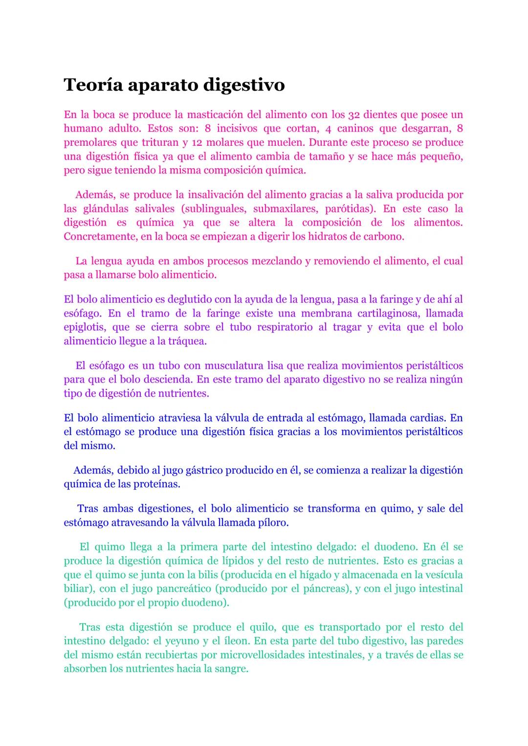 El Aparato Digestivo: Proceso de Digestión por Fases