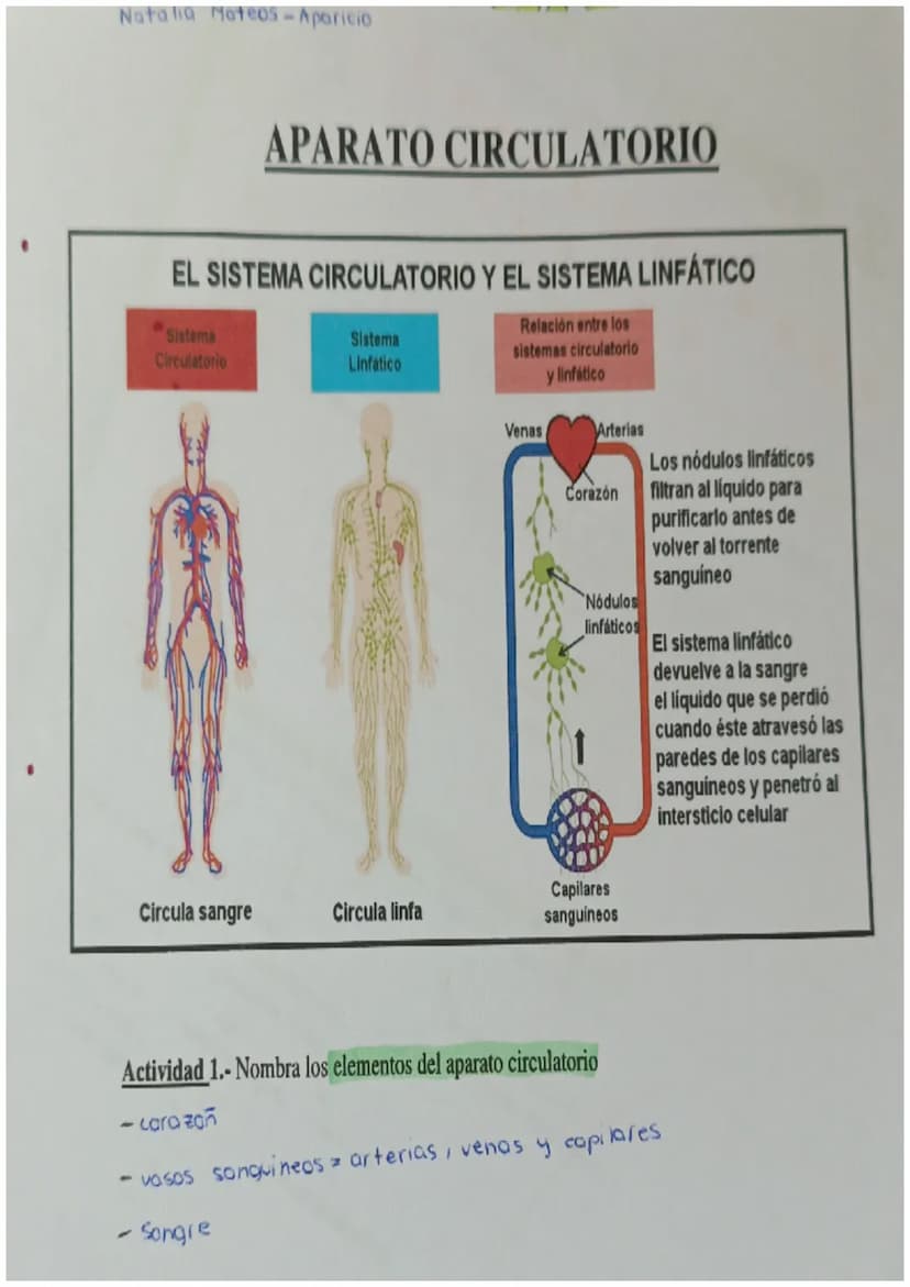 4
y
cnutricion 2
aparatos
C
с
e X
ARTEREA
ap.digest NUTR
ap resp 02
1
transporte
Nutrientes
gases
Hormonas
anticuerpos
sust desecho
C
SANGRE