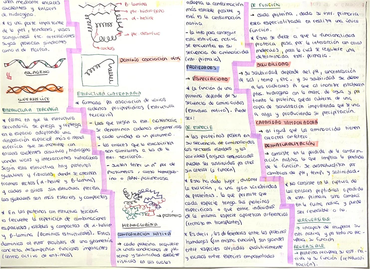 PROTEINAS
CLASIFICACIÓN
→ Diombleados organicas formadar
por C, H, O YN y a veces
P.S, Fe y Cu.
* Quimicamente son porimeros
Lineales no ram