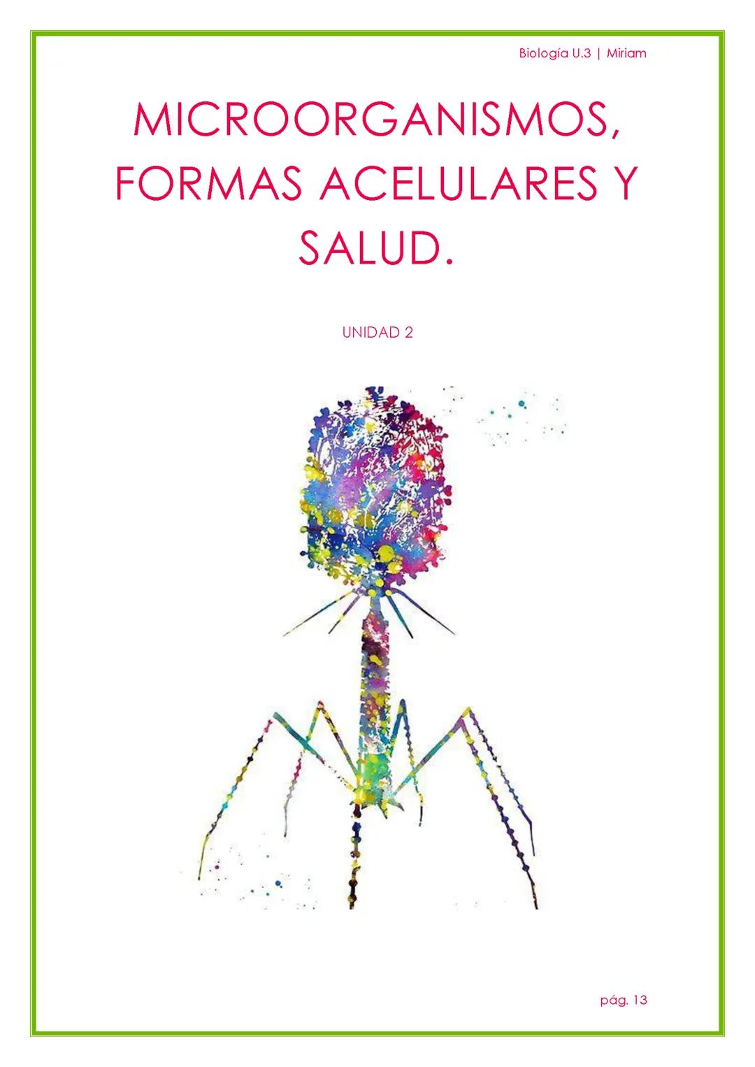 Unidad 2: Introducción a los Microorganismos, Virus y su Relación con la Salud