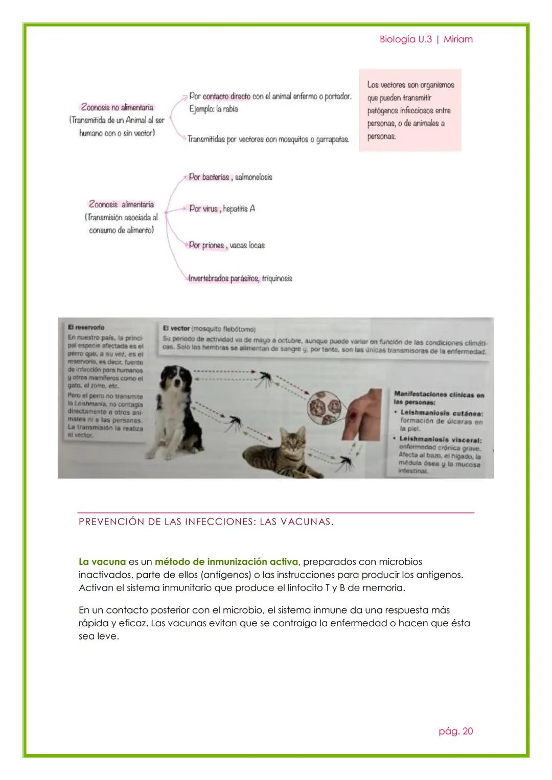 Biología U.3 | Miriam
MICROORGANISMOS,
FORMAS ACELULARES Y
SALUD.
UNIDAD 2
pág. 13 # 1. LA MICROBIOLOGÍA
Biología U.3 | Miriam
La microbiolo