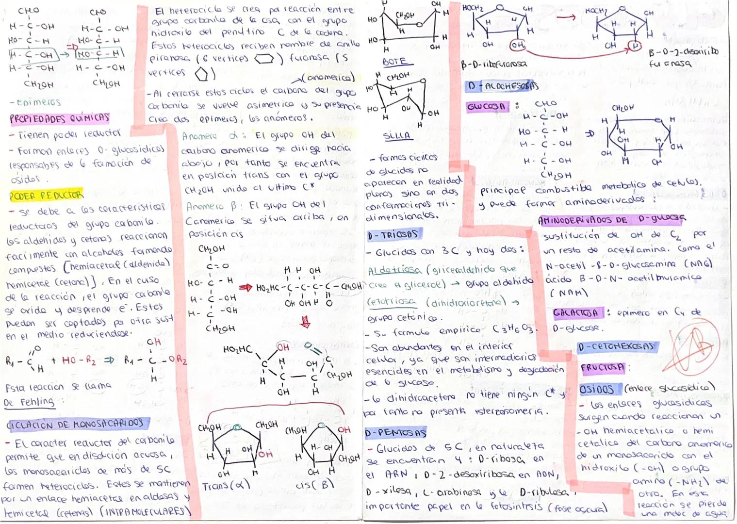 --- OCR Start ---
GLUCIDOS
CLASIFICACIÓN
-¿as glúcidos (aqucares)
son biomdoculos aganicos
formados por C.MYO.
Cn(H2O)n
Quimicamente son pol