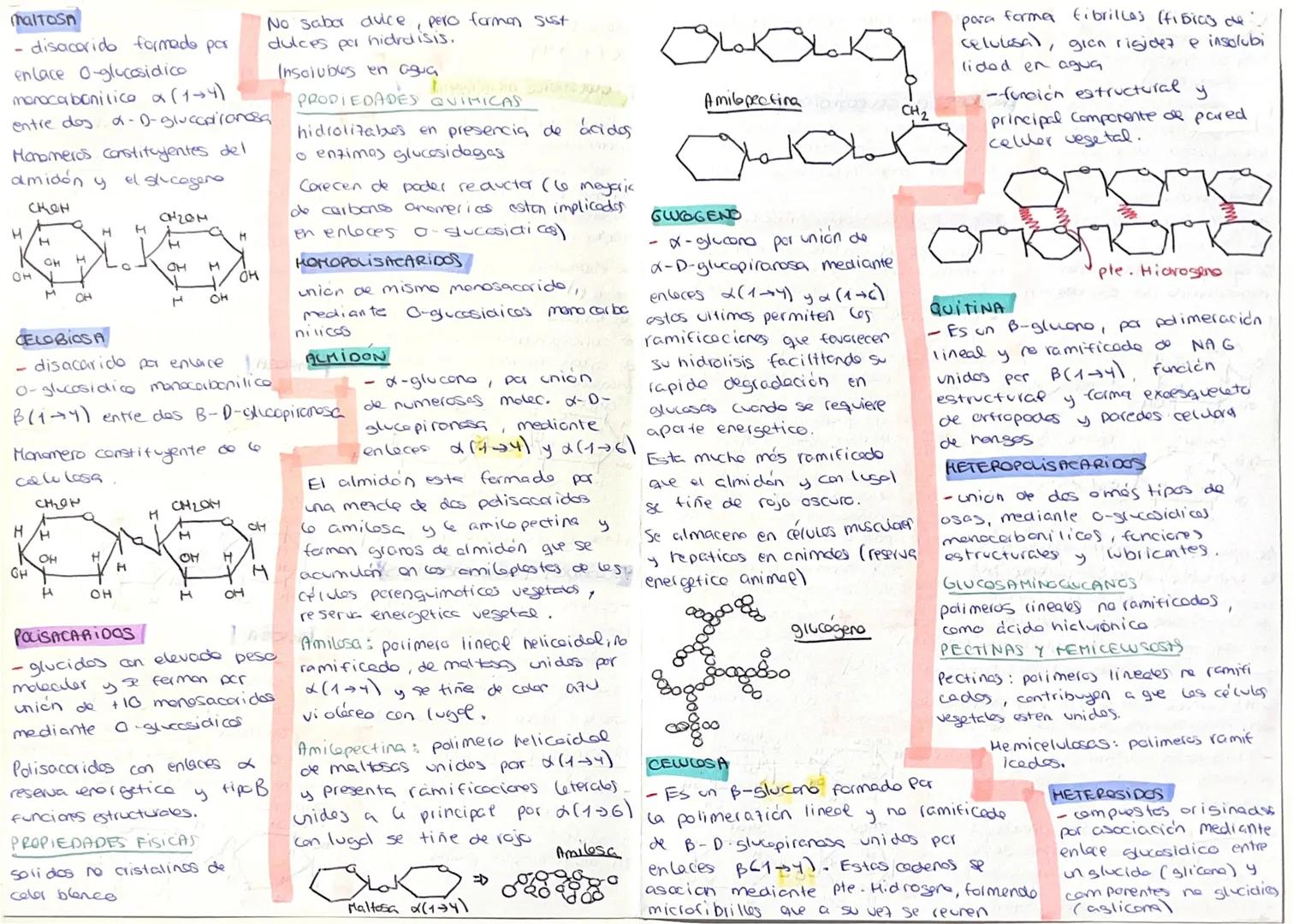 --- OCR Start ---
GLUCIDOS
CLASIFICACIÓN
-¿as glúcidos (aqucares)
son biomdoculos aganicos
formados por C.MYO.
Cn(H2O)n
Quimicamente son pol