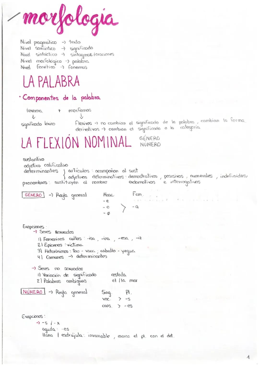 Explorando la Morfología del Castellano: Estructura de Palabras y Clases