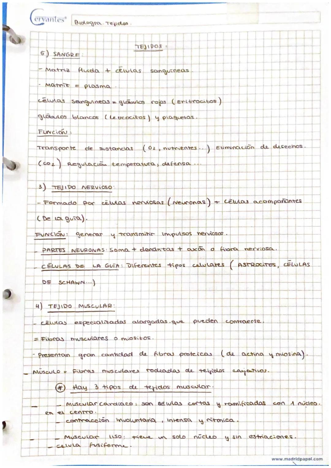 Cervantes Biologra. Tejidos.

5) SANGRE

TEJIDOS

- Matriz Huida + células sanguineas

- Matrit Plasma

células sanguineas globulos rojas (E