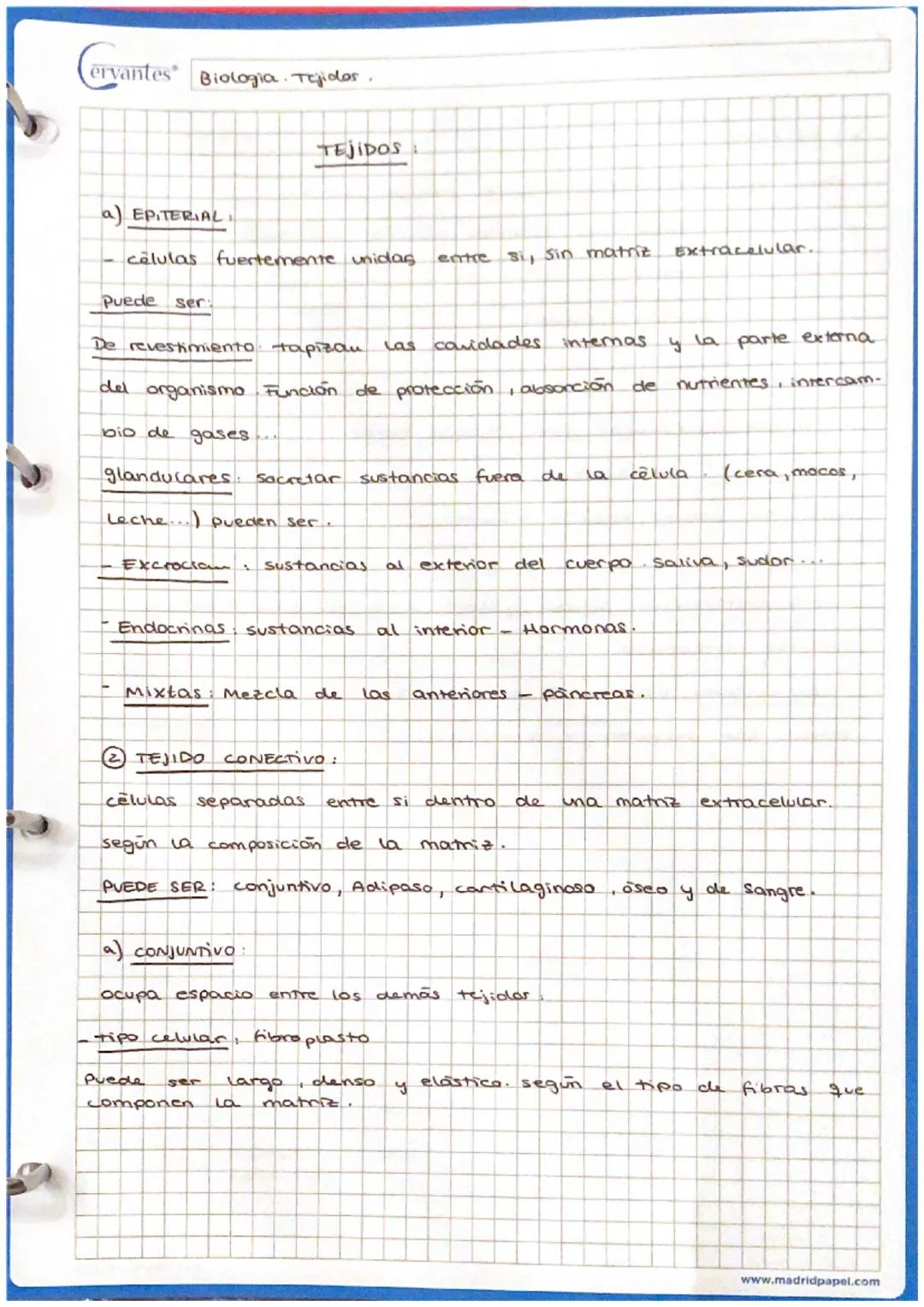Cervantes Biologra. Tejidos.

5) SANGRE

TEJIDOS

- Matriz Huida + células sanguineas

- Matrit Plasma

células sanguineas globulos rojas (E