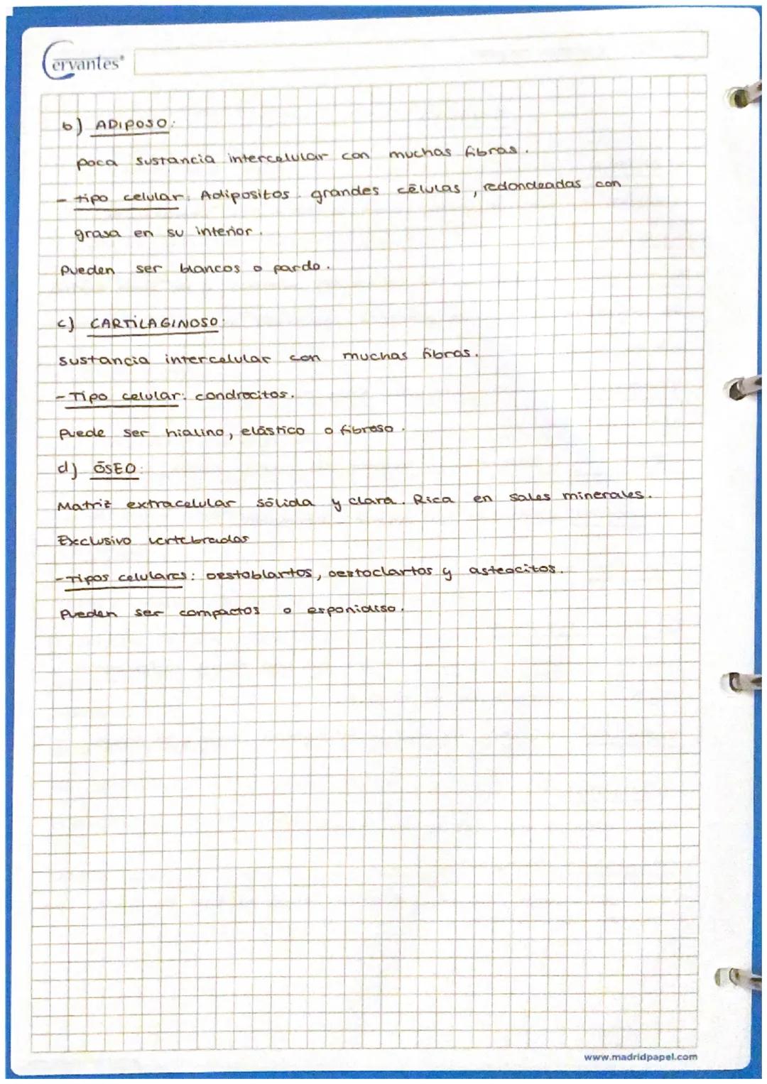 Cervantes Biologra. Tejidos.

5) SANGRE

TEJIDOS

- Matriz Huida + células sanguineas

- Matrit Plasma

células sanguineas globulos rojas (E