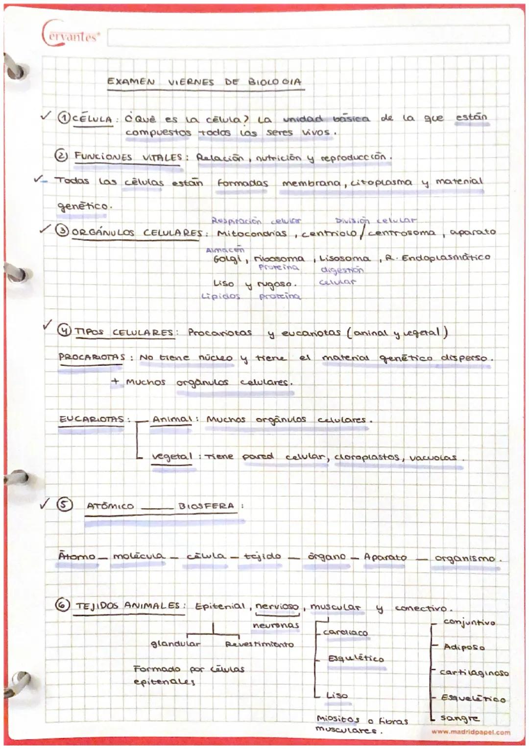Cervantes Biologra. Tejidos.

5) SANGRE

TEJIDOS

- Matriz Huida + células sanguineas

- Matrit Plasma

células sanguineas globulos rojas (E