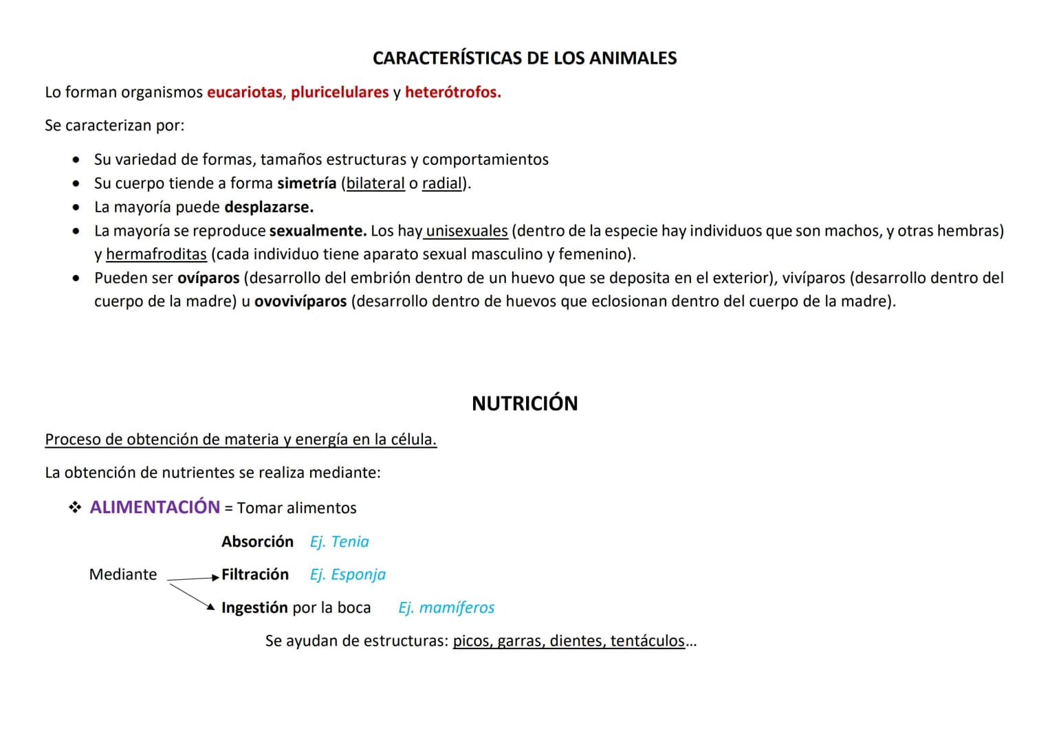 Lo forman organismos eucariotas, pluricelulares y heterótrofos.
Se caracterizan por:
●
CARACTERÍSTICAS DE LOS ANIMALES
Su variedad de formas