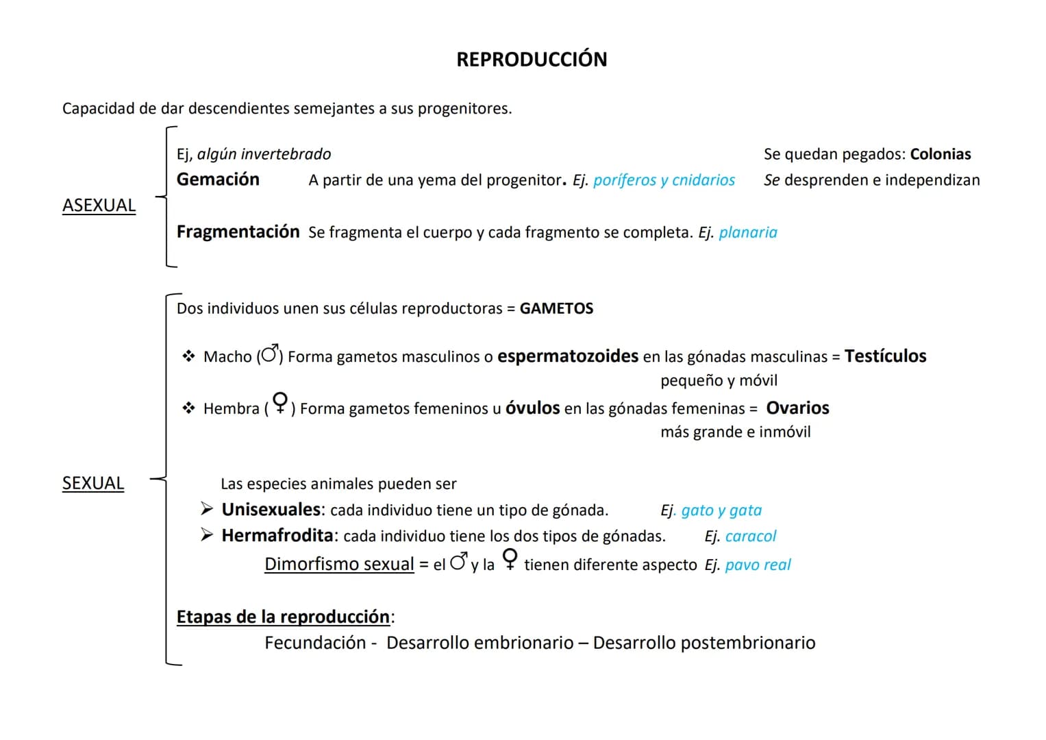 Lo forman organismos eucariotas, pluricelulares y heterótrofos.
Se caracterizan por:
●
CARACTERÍSTICAS DE LOS ANIMALES
Su variedad de formas