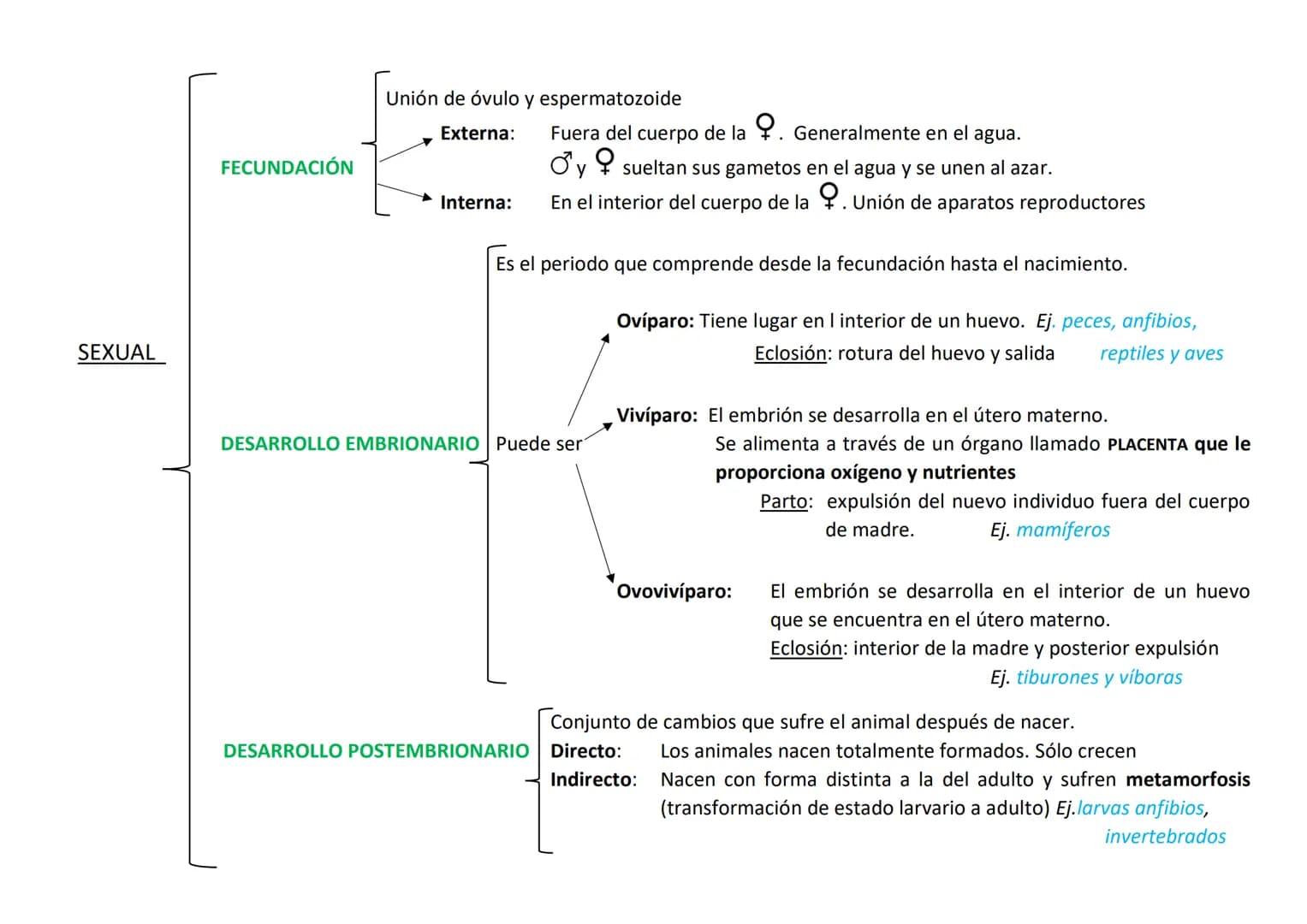 Lo forman organismos eucariotas, pluricelulares y heterótrofos.
Se caracterizan por:
●
CARACTERÍSTICAS DE LOS ANIMALES
Su variedad de formas