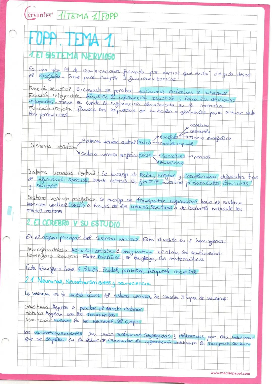 # Cervantes TEMA 1/ FOPP

# FOPP. TEMA 1.

## 1.ET SISTEMA NERVIOSO

Es una gran lel de Comunicaciones formada por medios que está dirigida 