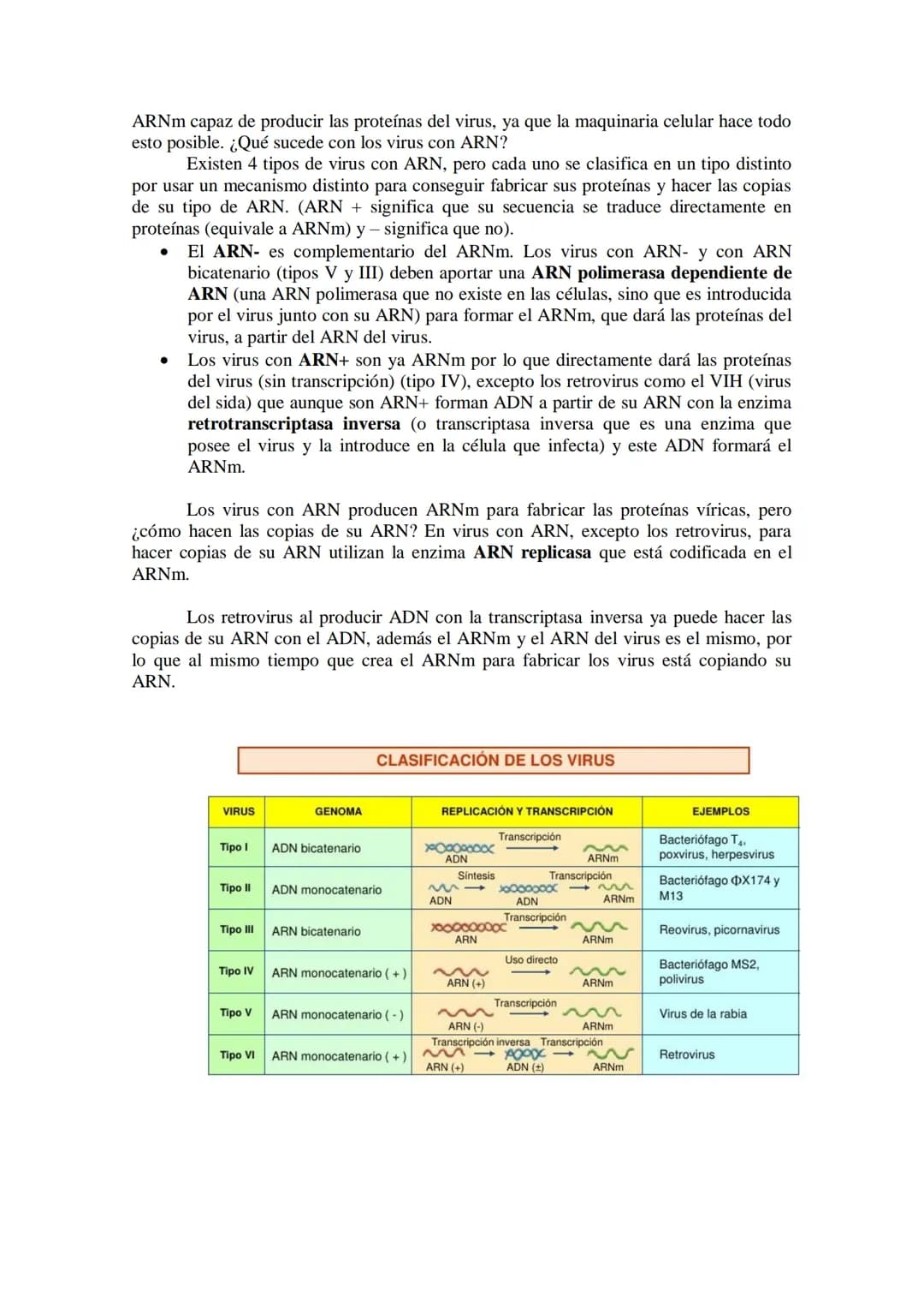 TEMA 16 LOS MICROORGANISMOS
1.- Concepto de microorganismo.
2.- Clasificación de los microorganismos (protozoos, algas y hongos unicelulares