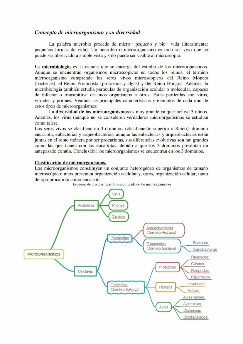 TEMA 16 LOS MICROORGANISMOS
1.- Concepto de microorganismo.
2.- Clasificación de los microorganismos (protozoos, algas y hongos unicelulares