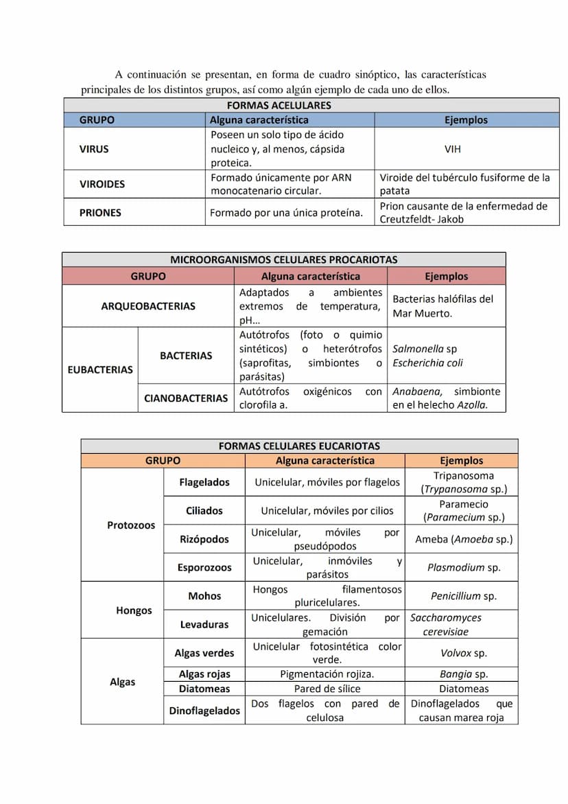 TEMA 16 LOS MICROORGANISMOS
1.- Concepto de microorganismo.
2.- Clasificación de los microorganismos (protozoos, algas y hongos unicelulares