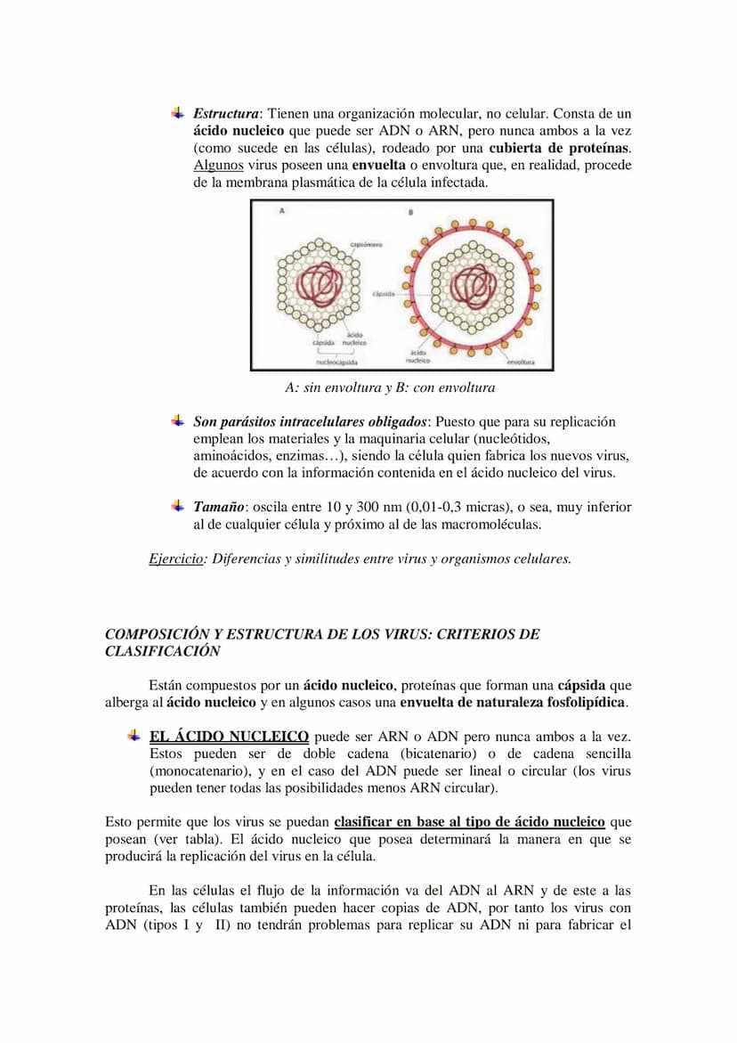 TEMA 16 LOS MICROORGANISMOS
1.- Concepto de microorganismo.
2.- Clasificación de los microorganismos (protozoos, algas y hongos unicelulares