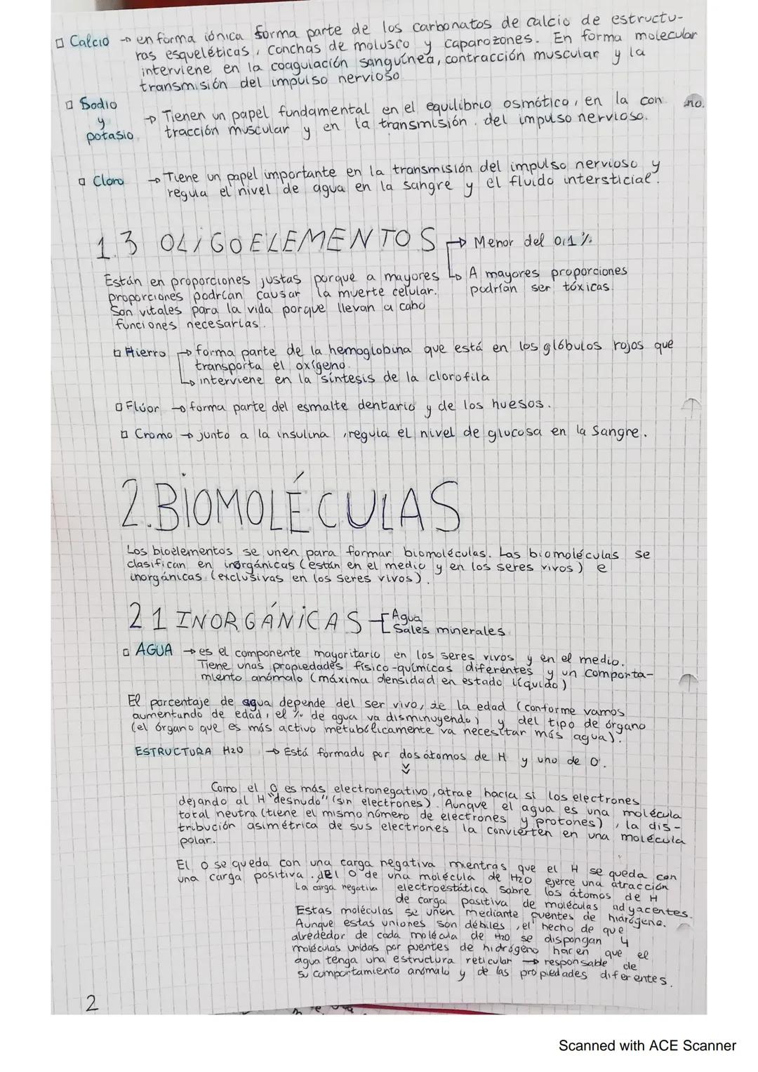 A
1. DIFERENCIA ENTRE
Y NO VIVO S
1 Los seres vivos tienen un alto grado de organización y una complejidad
estructural.
2. Los seres vivos s