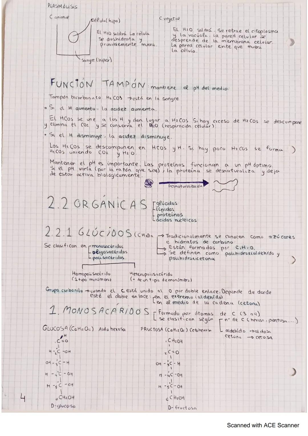 A
1. DIFERENCIA ENTRE
Y NO VIVO S
1 Los seres vivos tienen un alto grado de organización y una complejidad
estructural.
2. Los seres vivos s