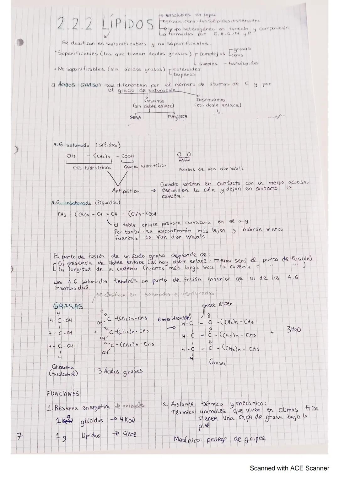 A
1. DIFERENCIA ENTRE
Y NO VIVO S
1 Los seres vivos tienen un alto grado de organización y una complejidad
estructural.
2. Los seres vivos s