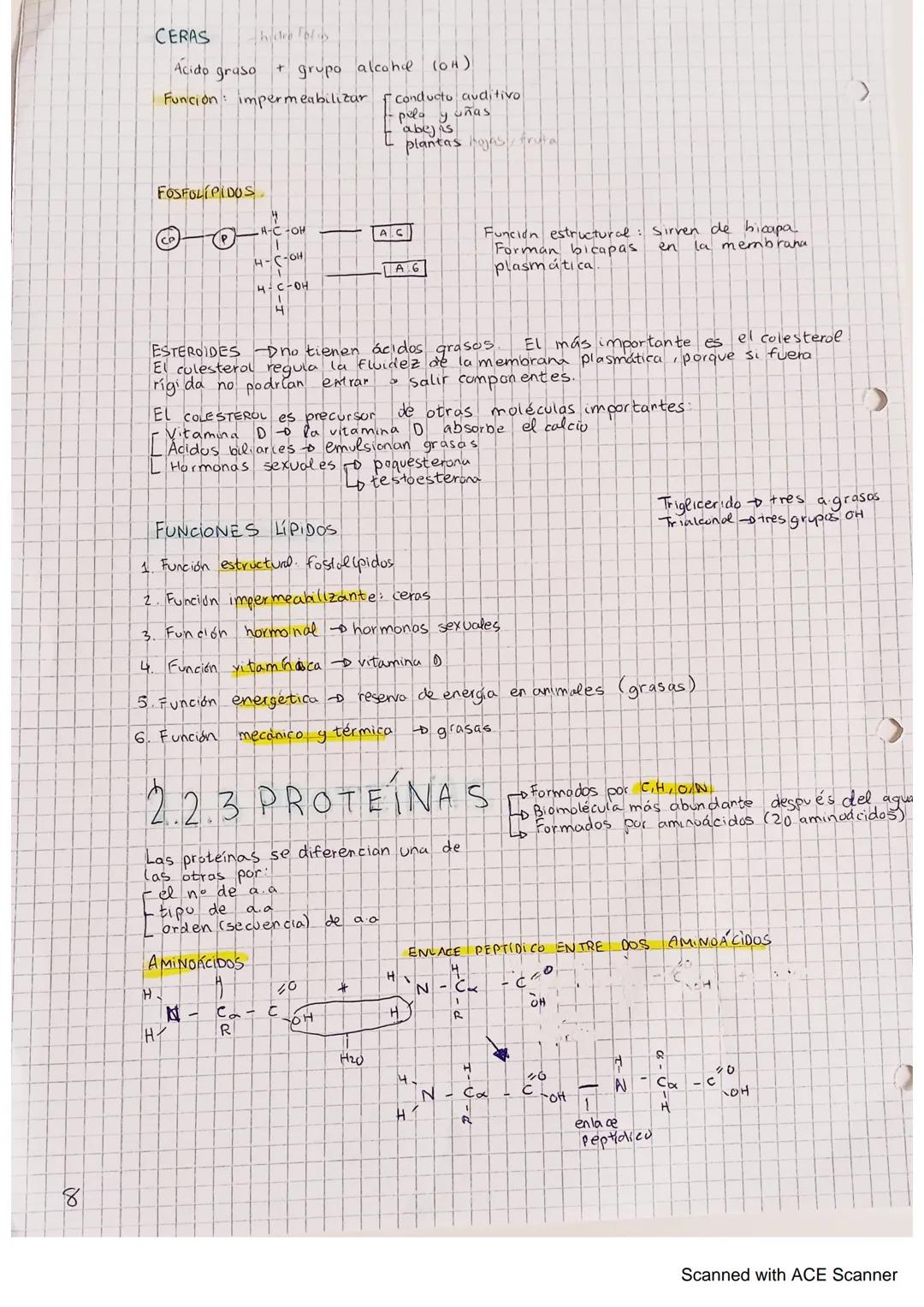 A
1. DIFERENCIA ENTRE
Y NO VIVO S
1 Los seres vivos tienen un alto grado de organización y una complejidad
estructural.
2. Los seres vivos s