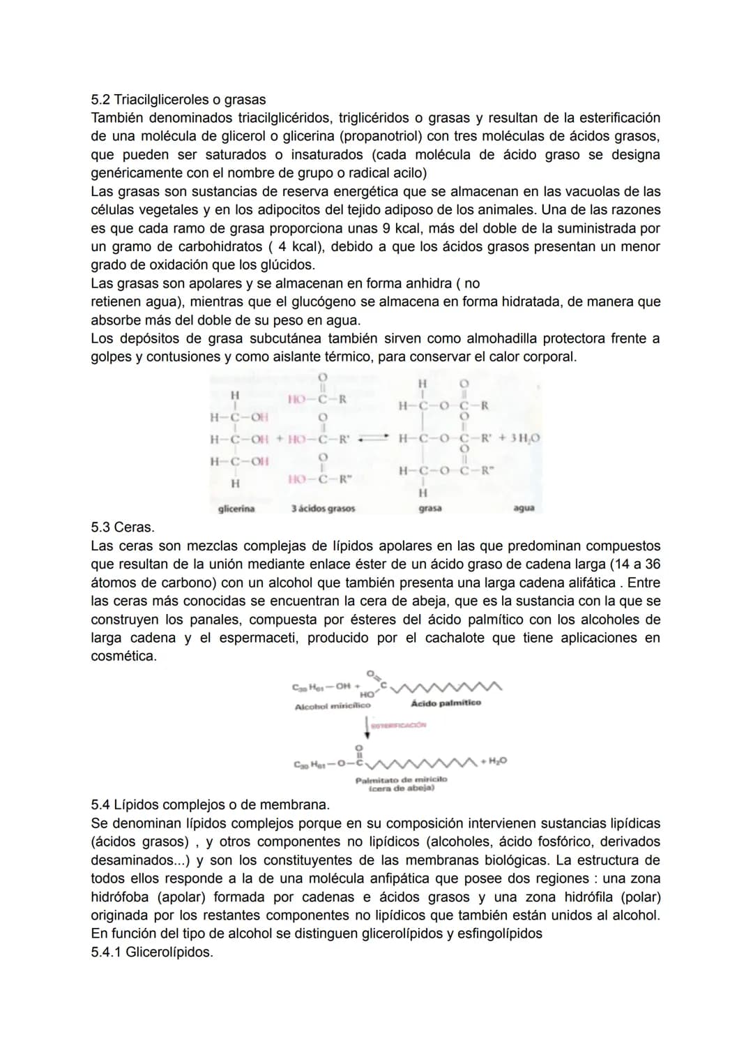 TEMA 4: BIOQUÍMICA
1. LA COMPOSICIÓN DE LOS SERES VIVOS.
Todos los seres vivos que ves a tu alrededor están formados por la combinación
fund