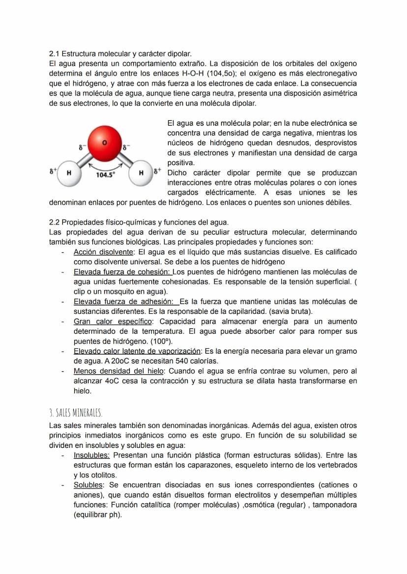 TEMA 4: BIOQUÍMICA
1. LA COMPOSICIÓN DE LOS SERES VIVOS.
Todos los seres vivos que ves a tu alrededor están formados por la combinación
fund