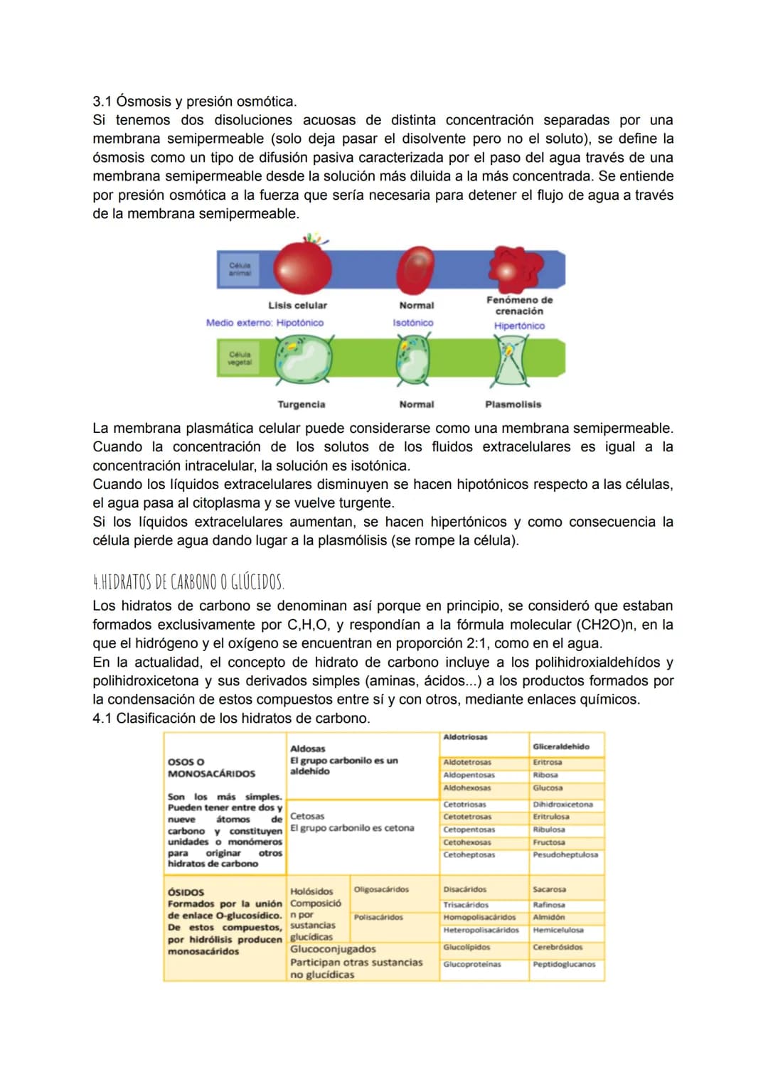 TEMA 4: BIOQUÍMICA
1. LA COMPOSICIÓN DE LOS SERES VIVOS.
Todos los seres vivos que ves a tu alrededor están formados por la combinación
fund